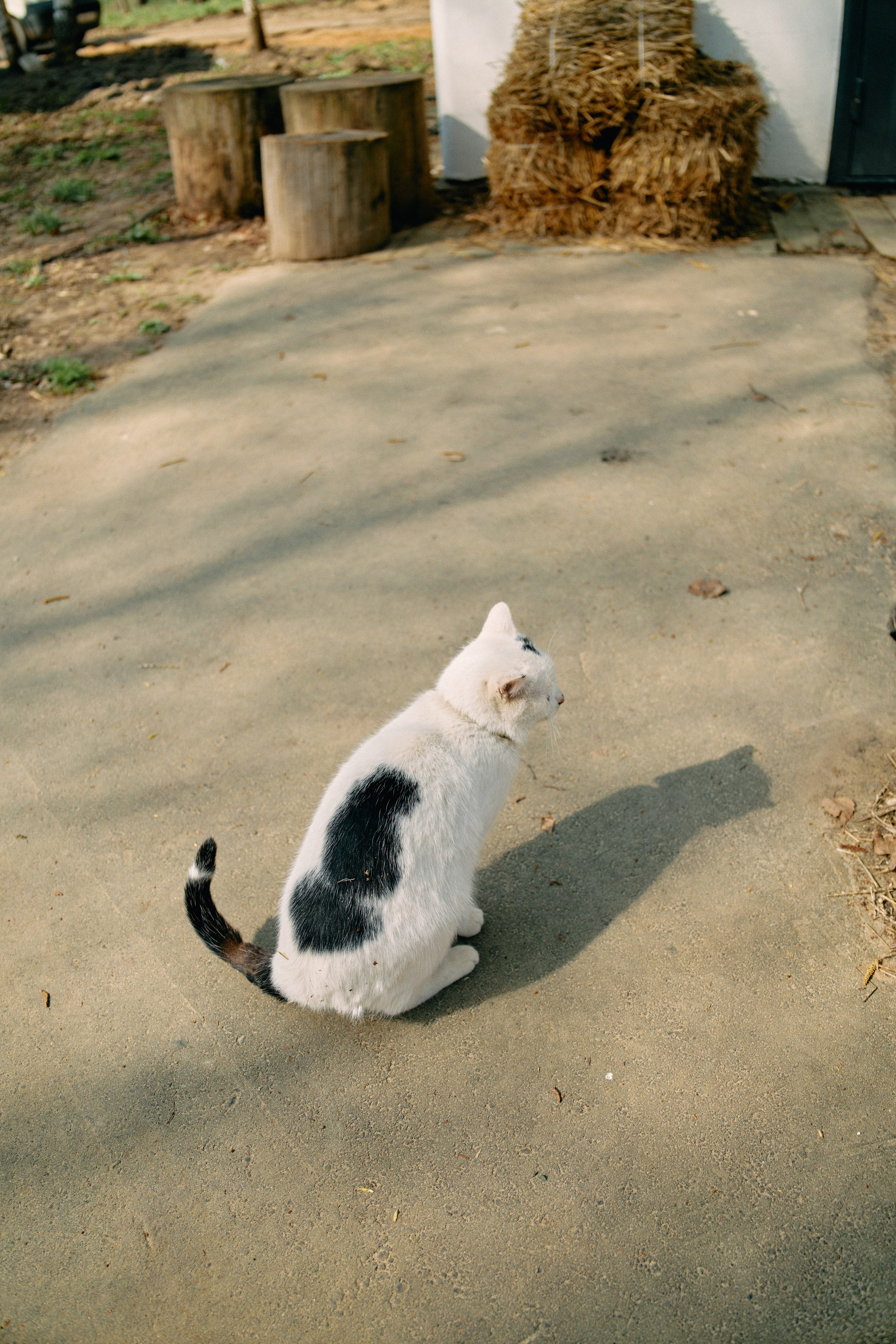 Бутик-отель Поле летом. Профессиональный Фотограф во Владимире, в Москве и в Суздале — Полина Романычева