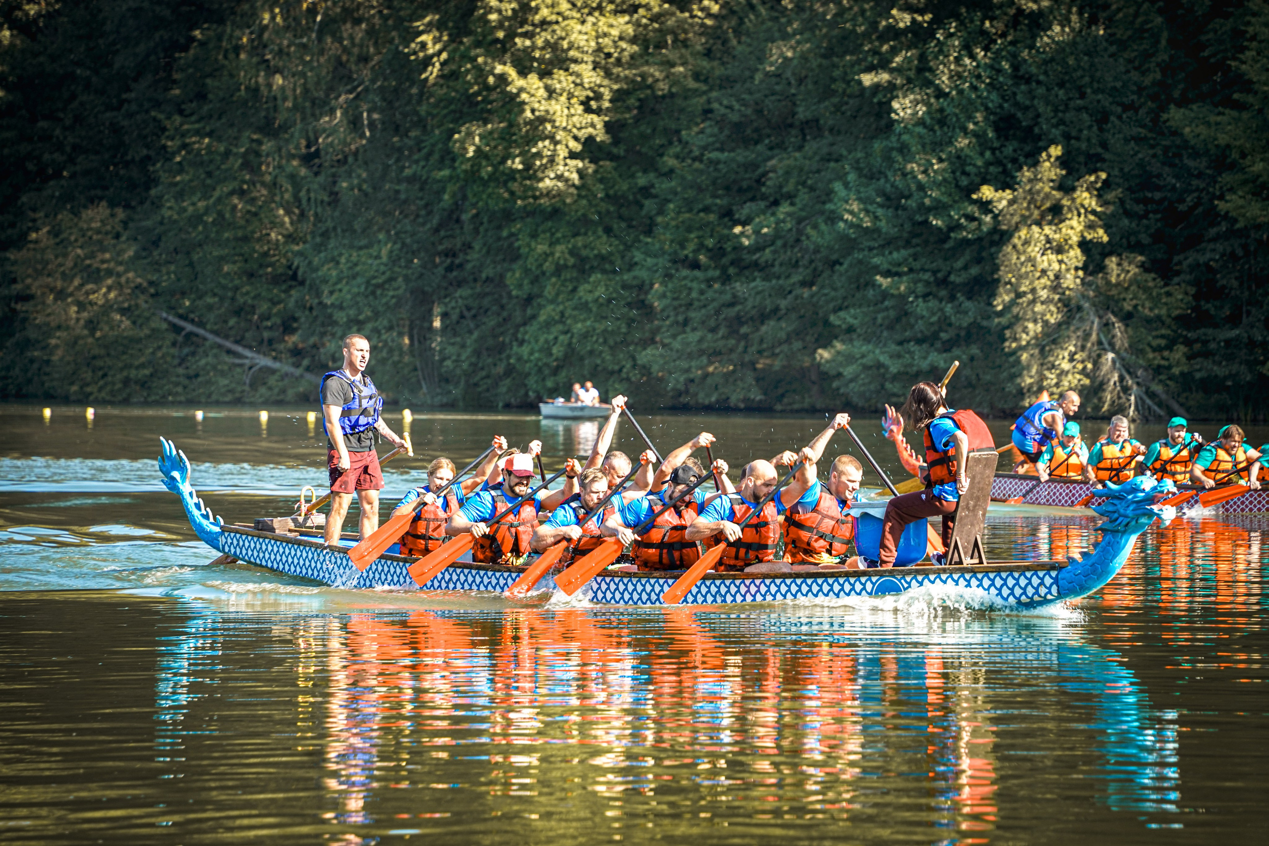 Репортажная фотосъемка. Анималистика. Репортаж. Индивидуальная съемка