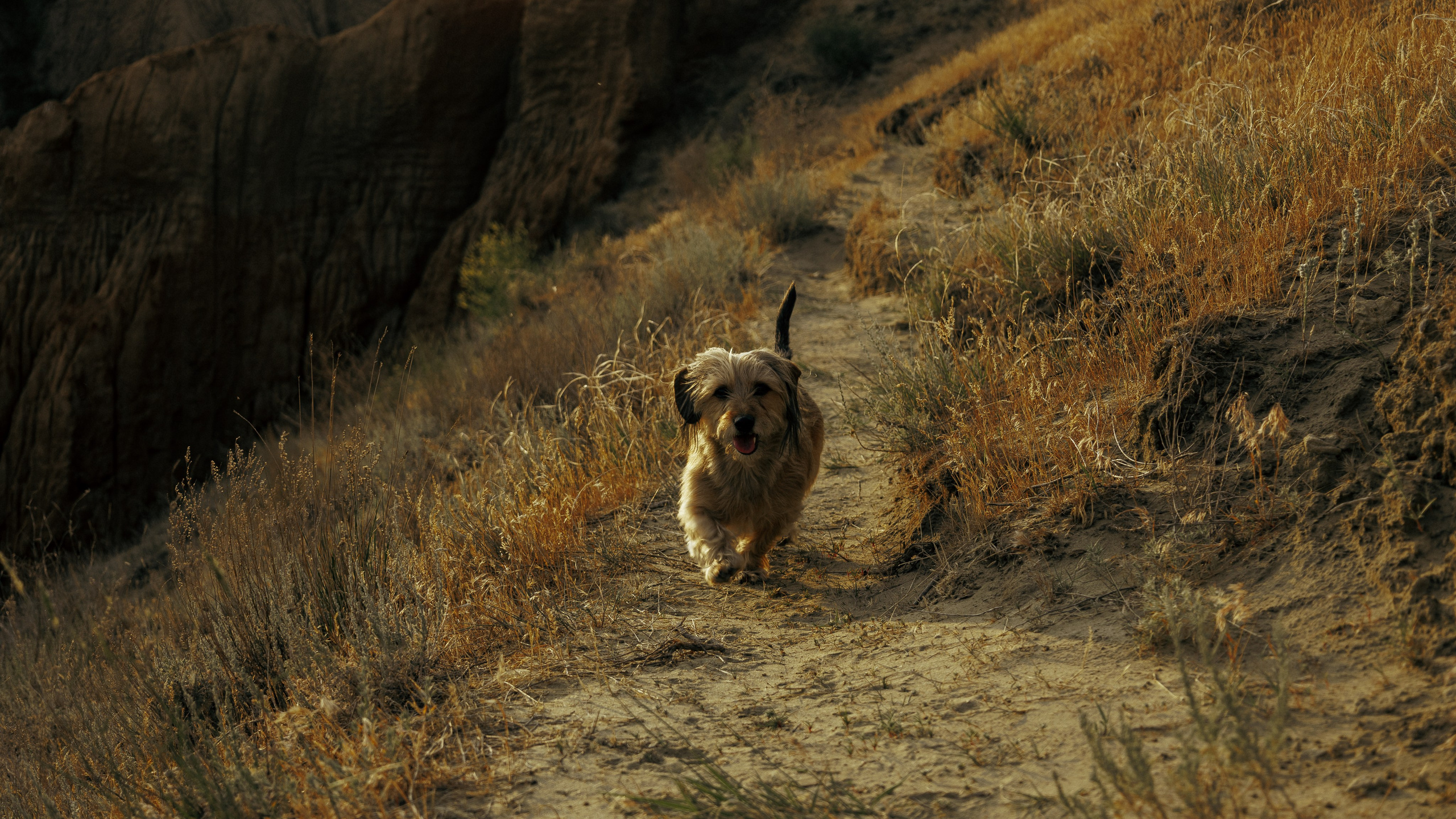 Фотосесиия сестёр в русском стиле на Александровском Грабене + беременность. Профессиональный фотограф в Санкт-Петербурге Александр Волосенцев