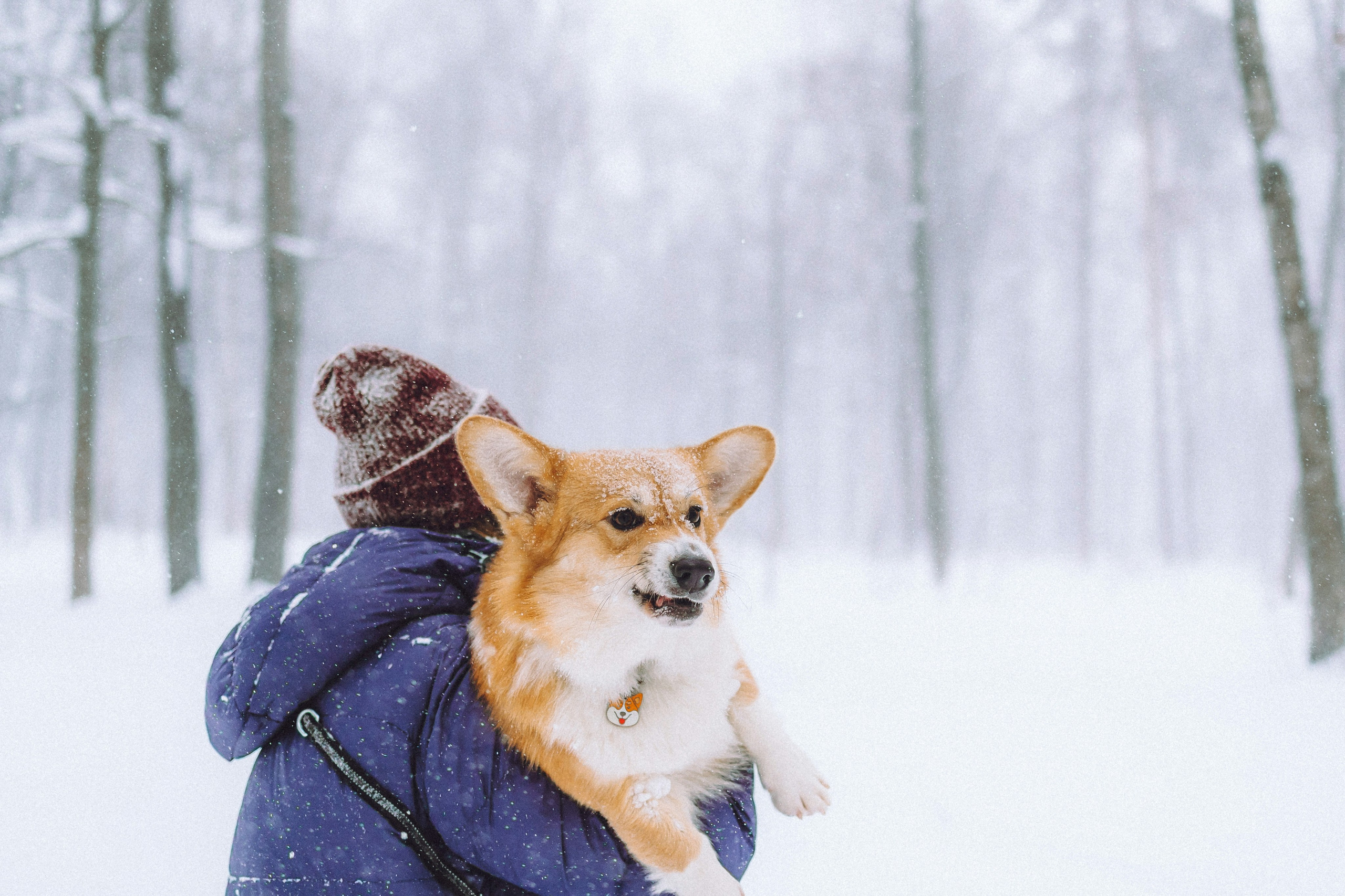 Юля и Юпитер