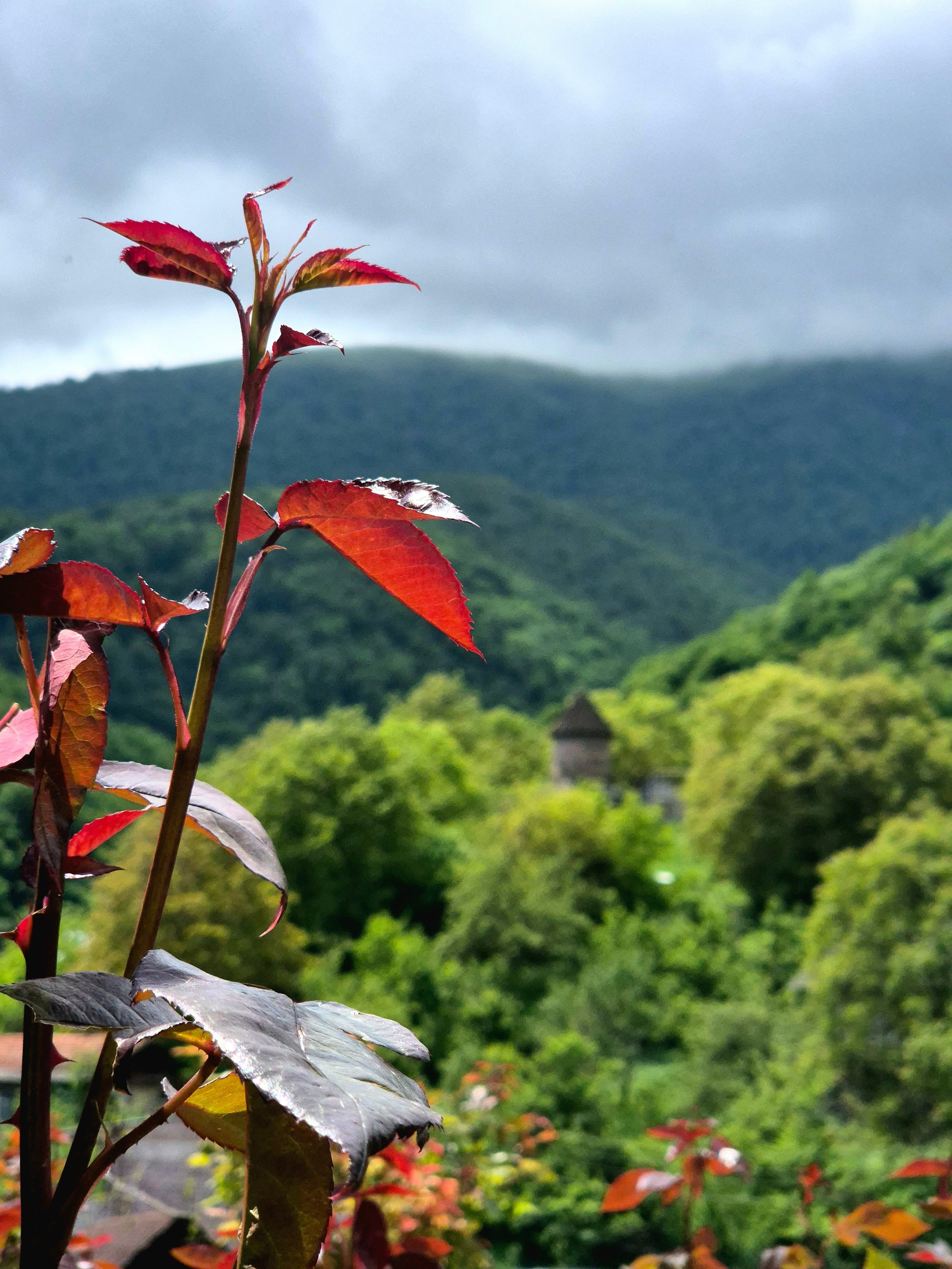 Запасаемся водой и - в путь.