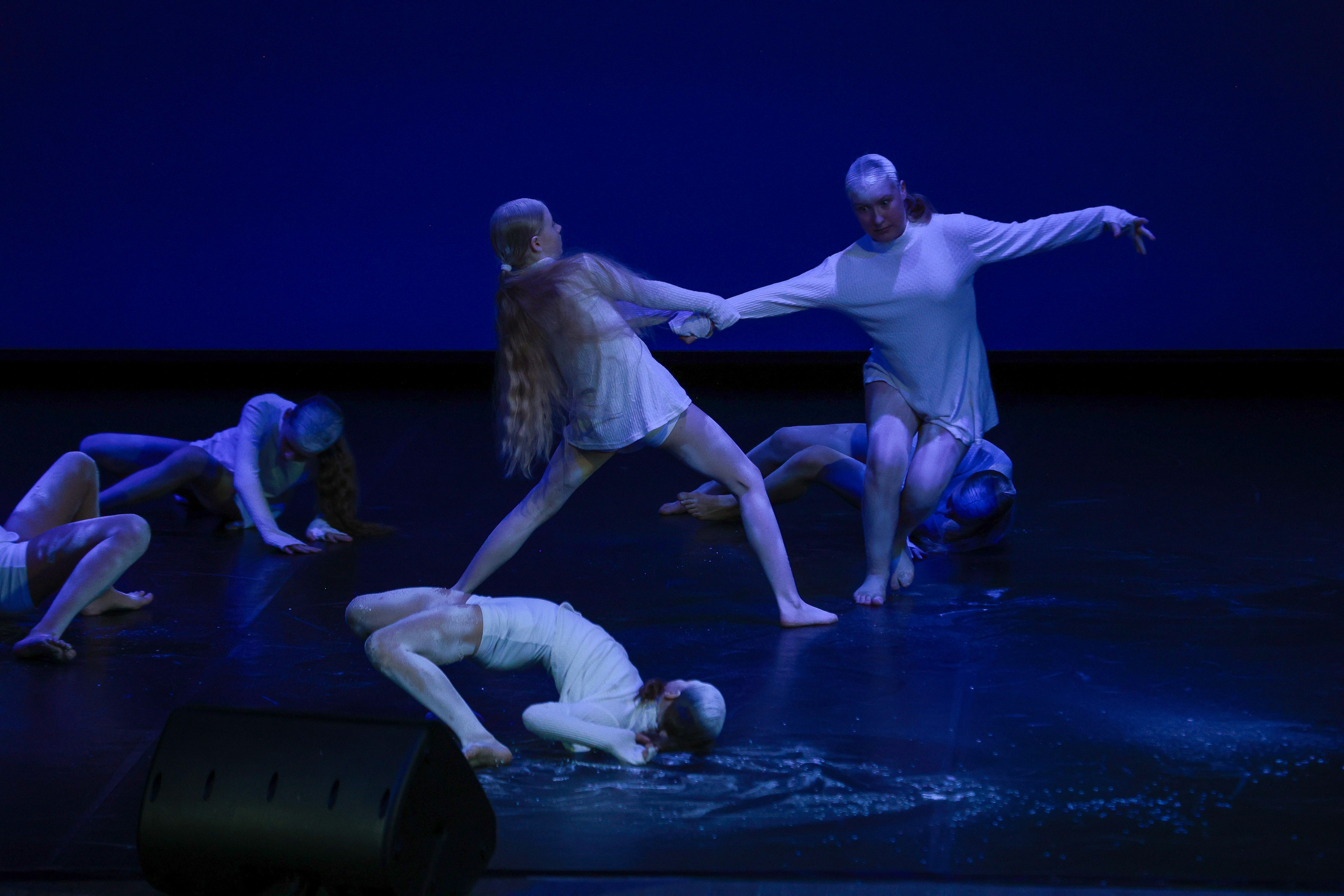 Небесные ласточки на Танц ЭКСПО 2026. Фотограф Юлия Мальцева