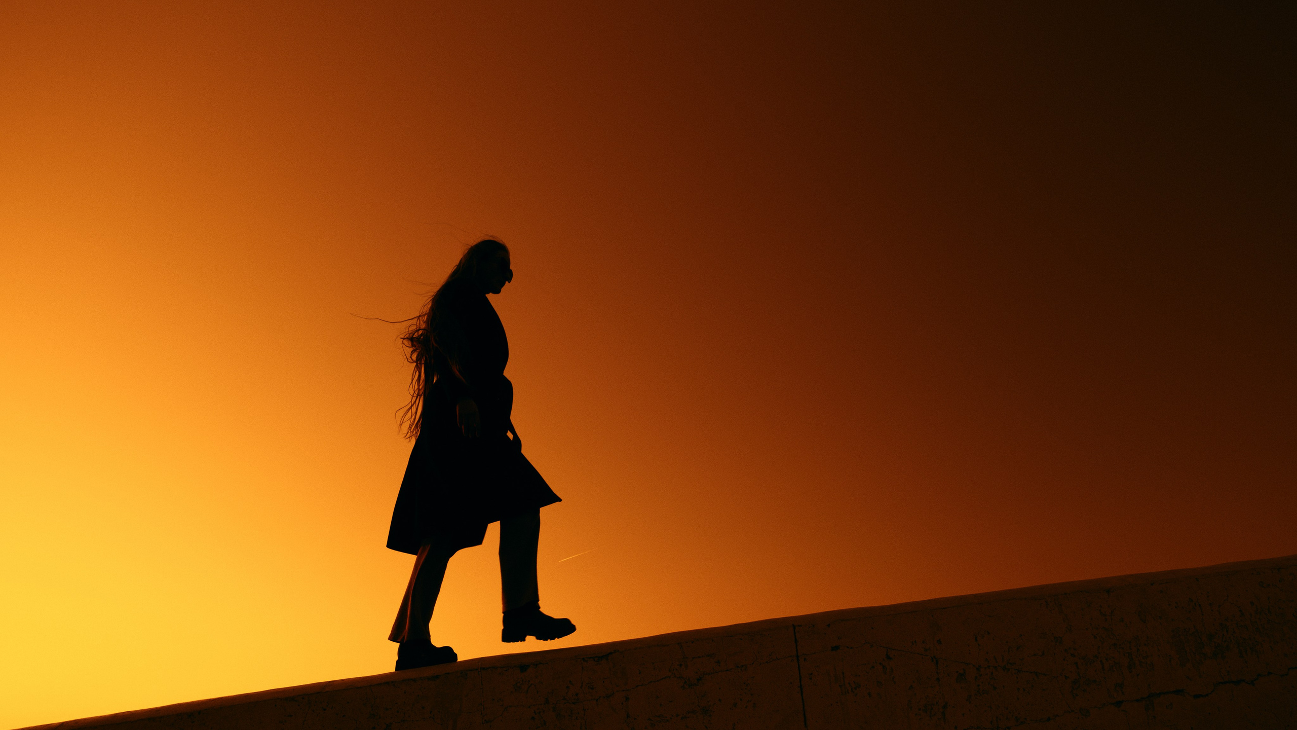 Елена. Дмитрий Пропадалин, Нейрофотография