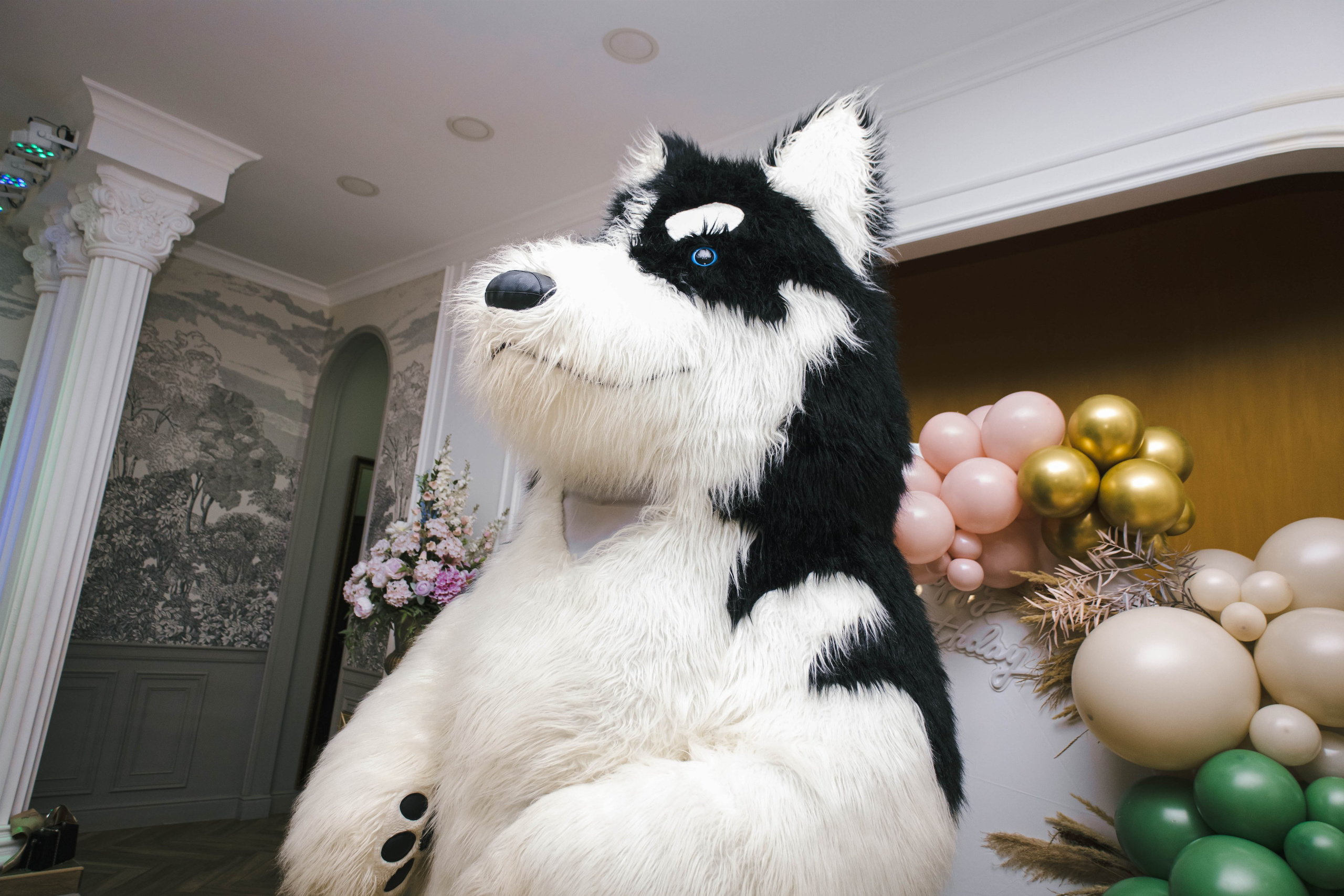 35 лет Виктории. Фотограф твоих воспоминаний | Алексей Алексеев