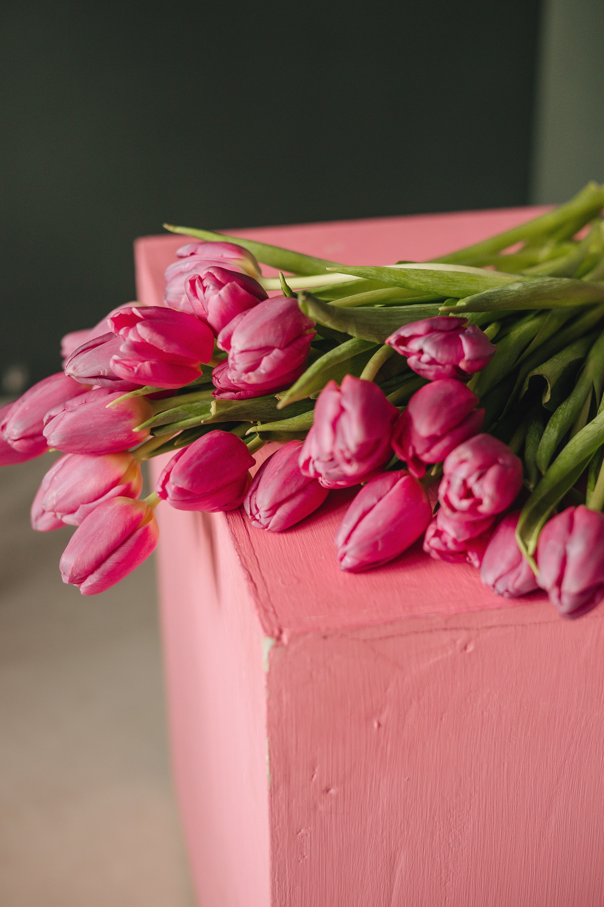 8 марта. Свадебный и семейный фотограф Пушкин Царское Село СПБ Питер Санкт-Петербург и Рязань Ольга Козлова