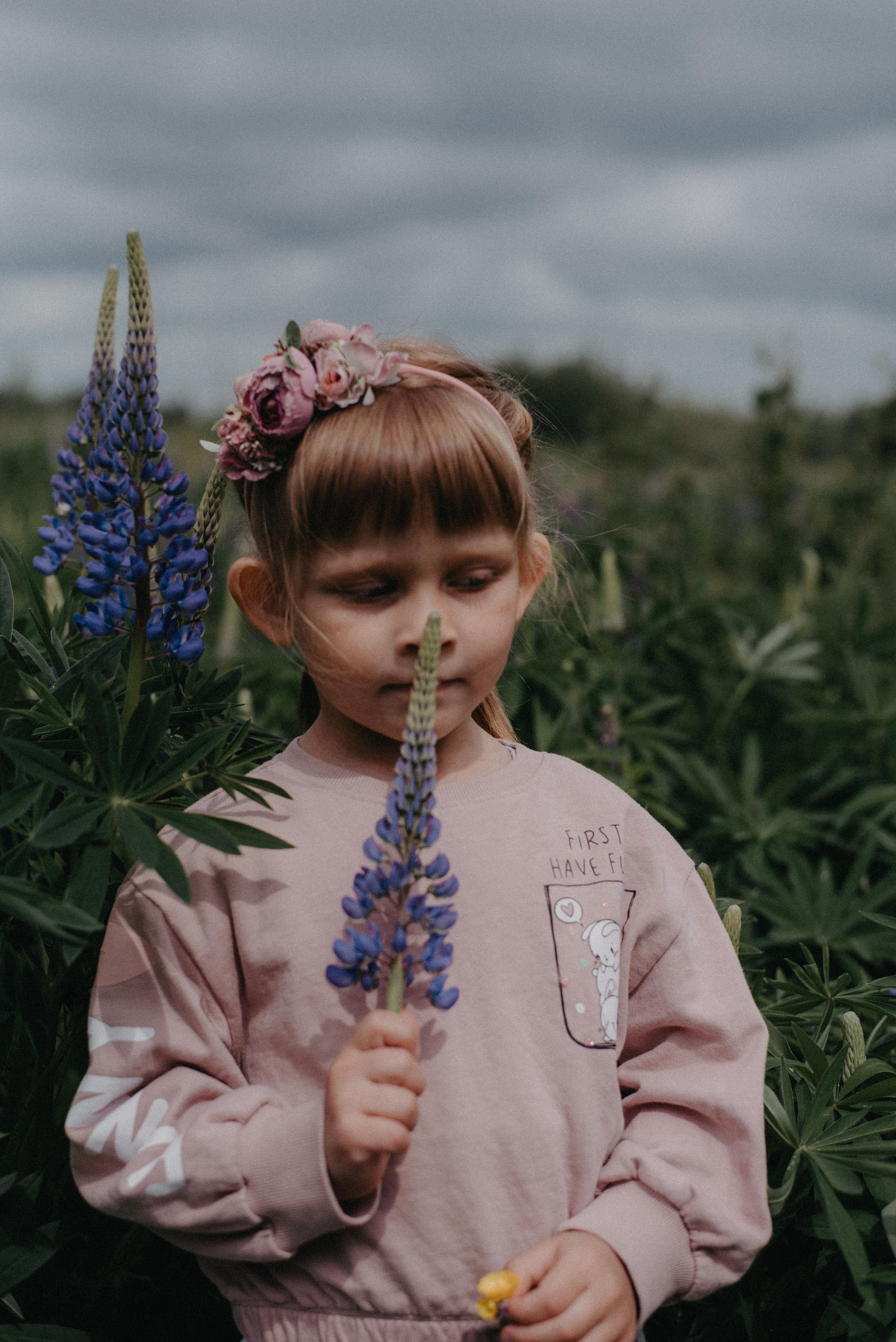 Люпины. Главная