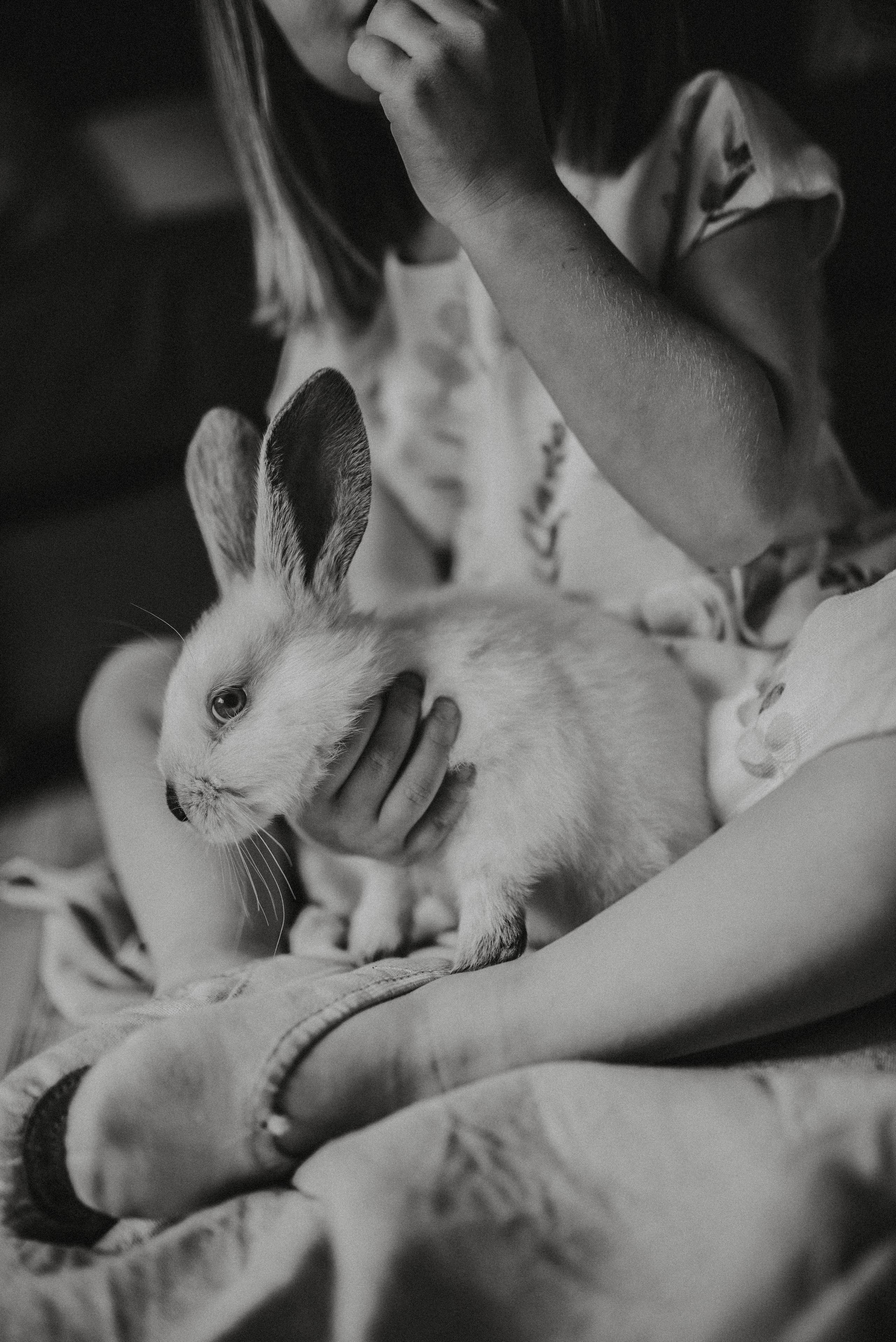 Пасхальный гость. Главная