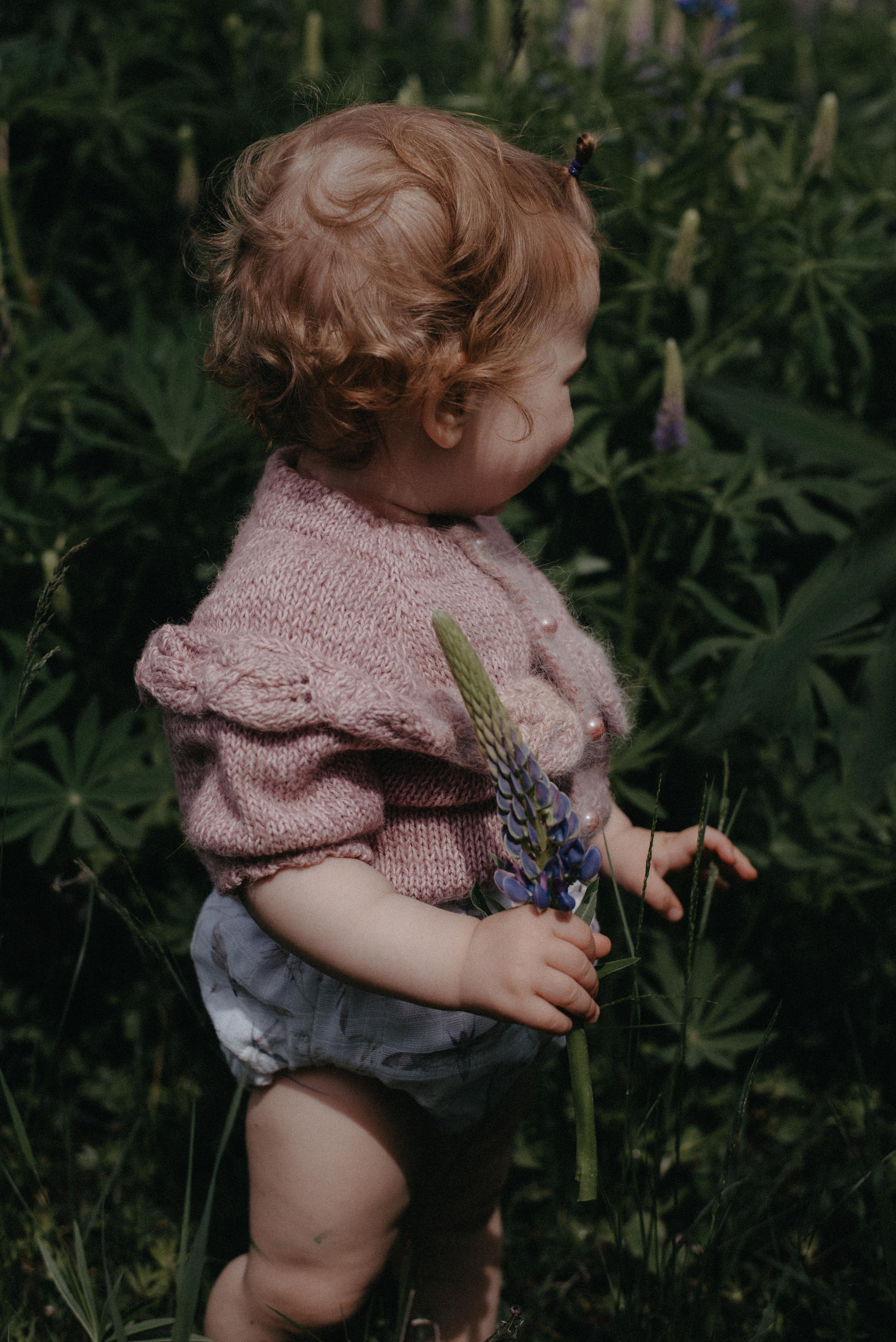 Люпины. Главная