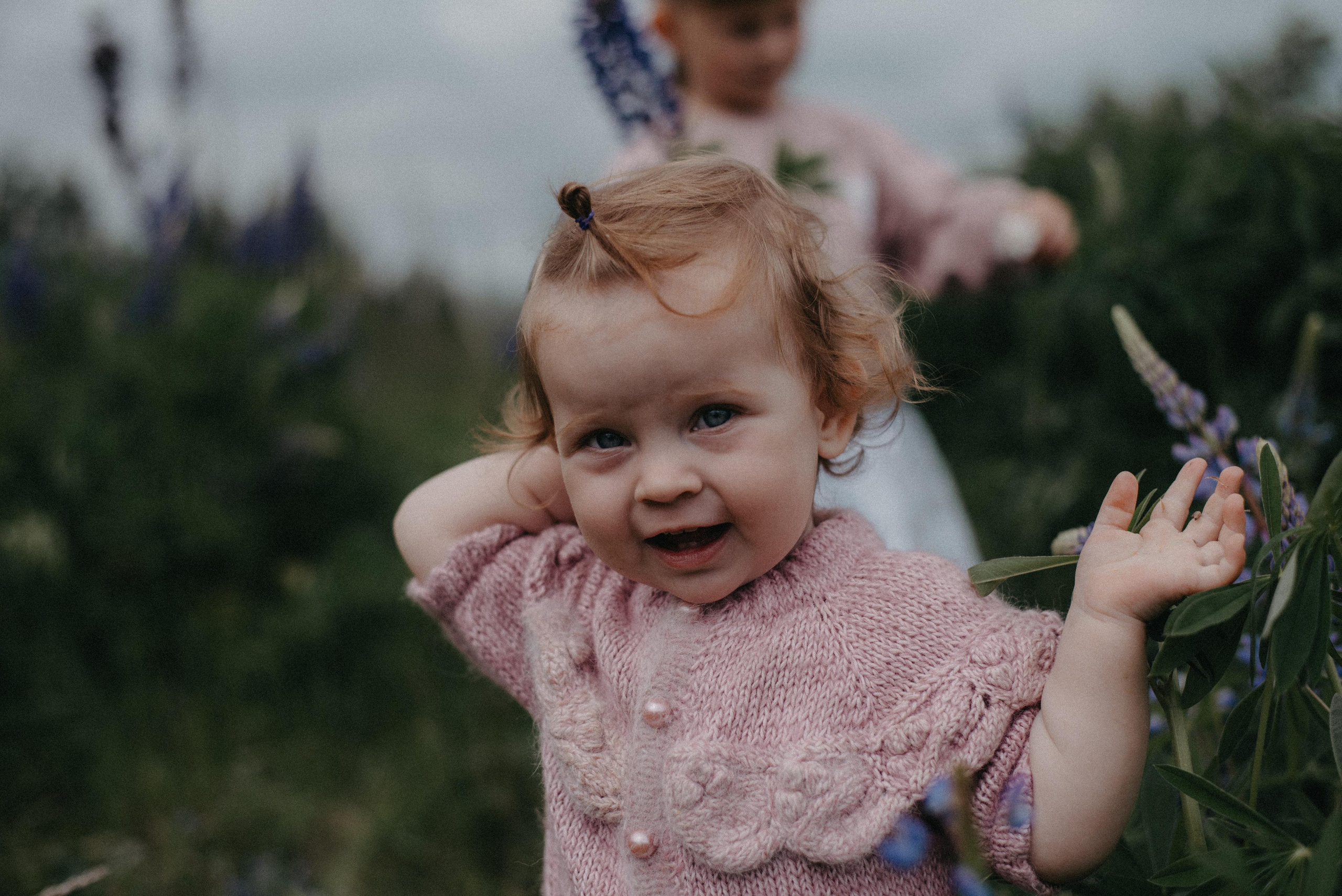 Люпины. Главная