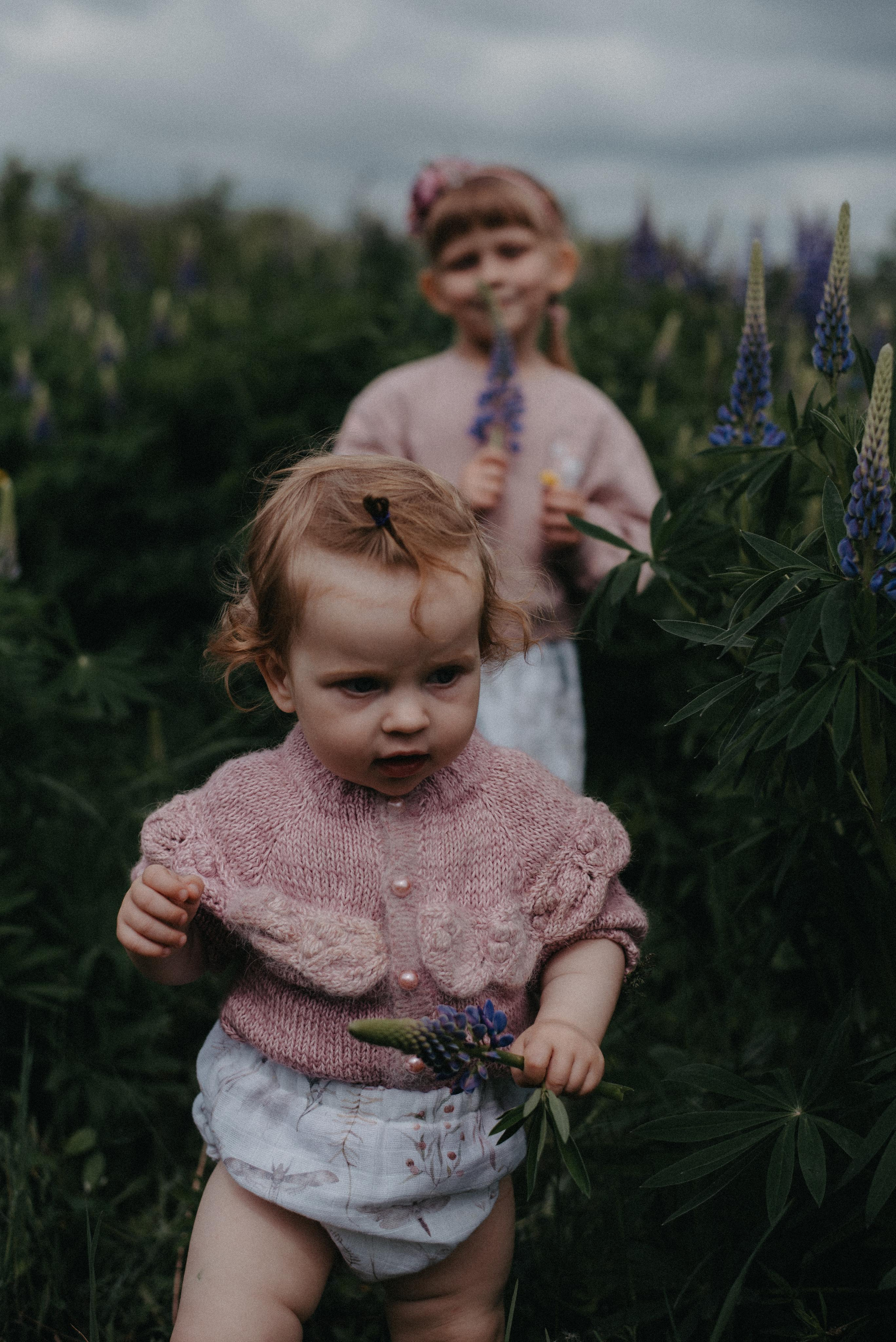 Люпины. Главная