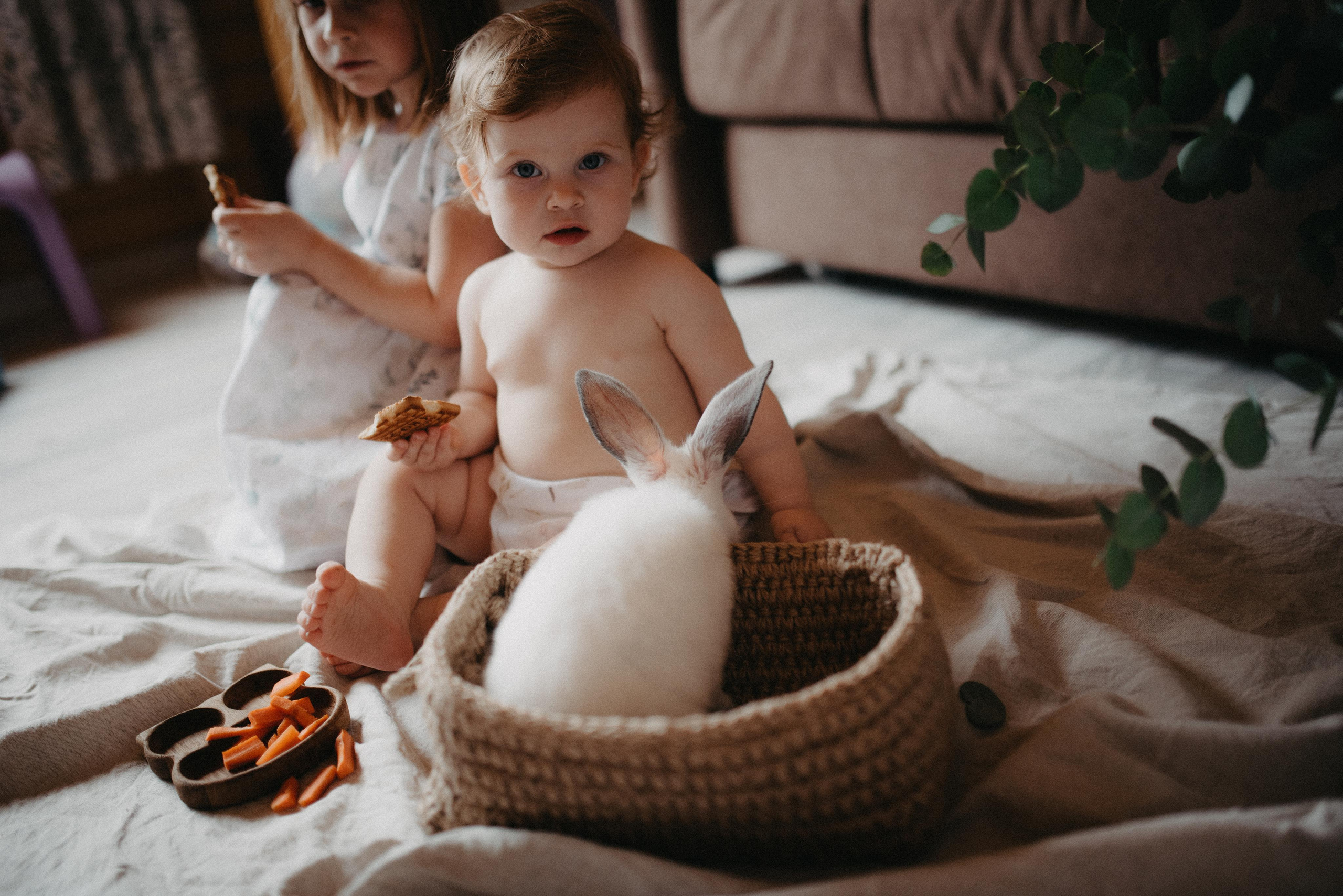 Пасхальный гость. Главная