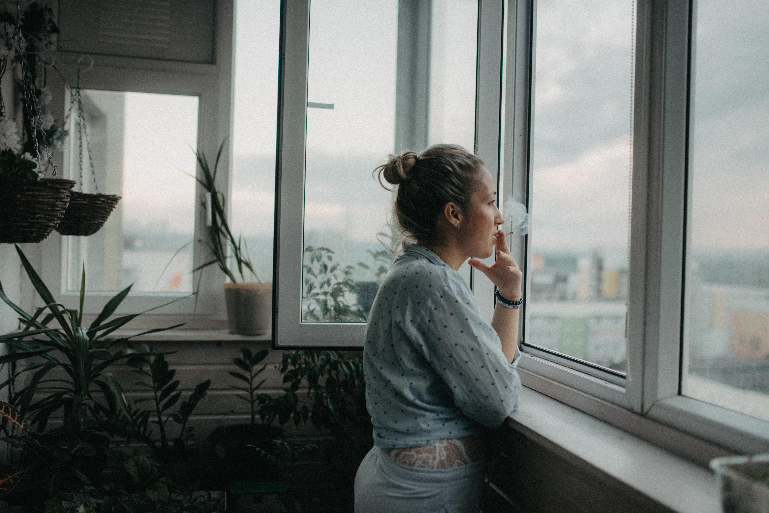 Новый друг. Главная