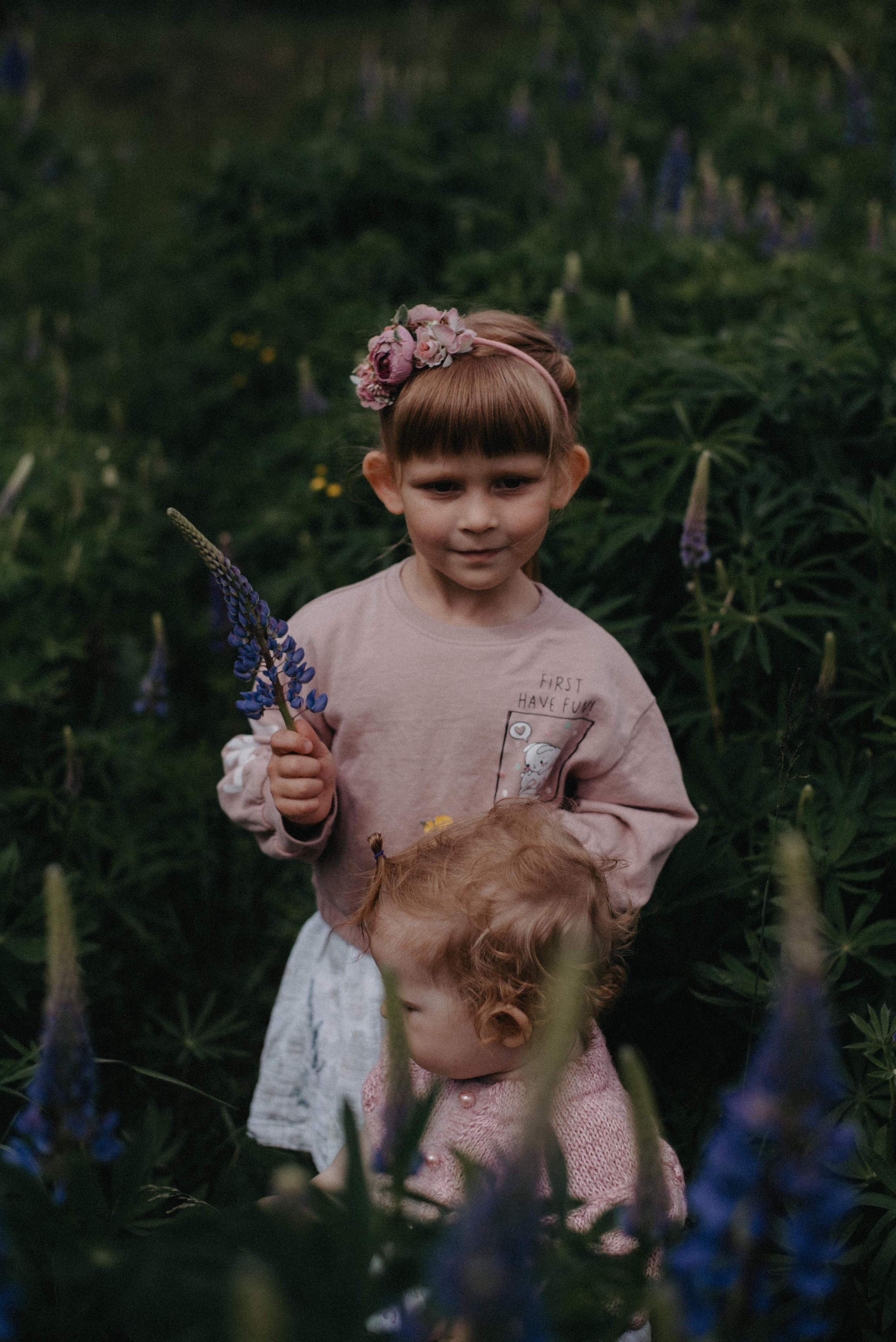 Люпины. Главная