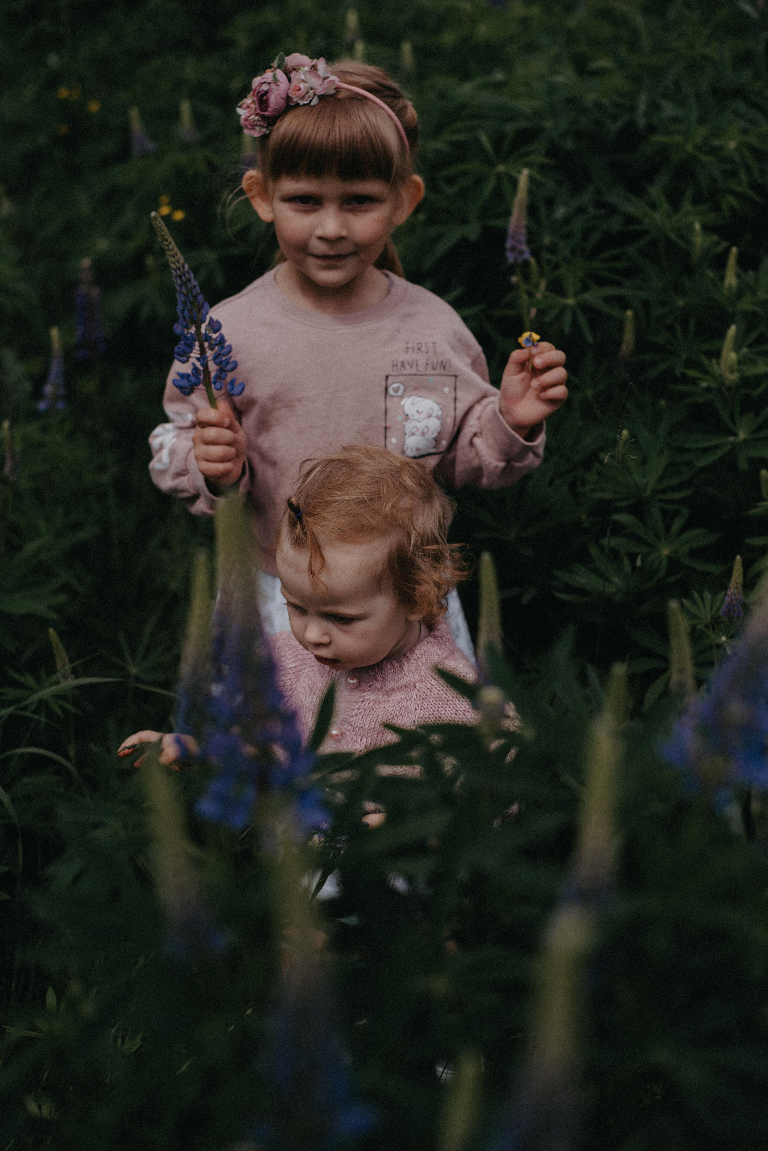 Люпины. Главная