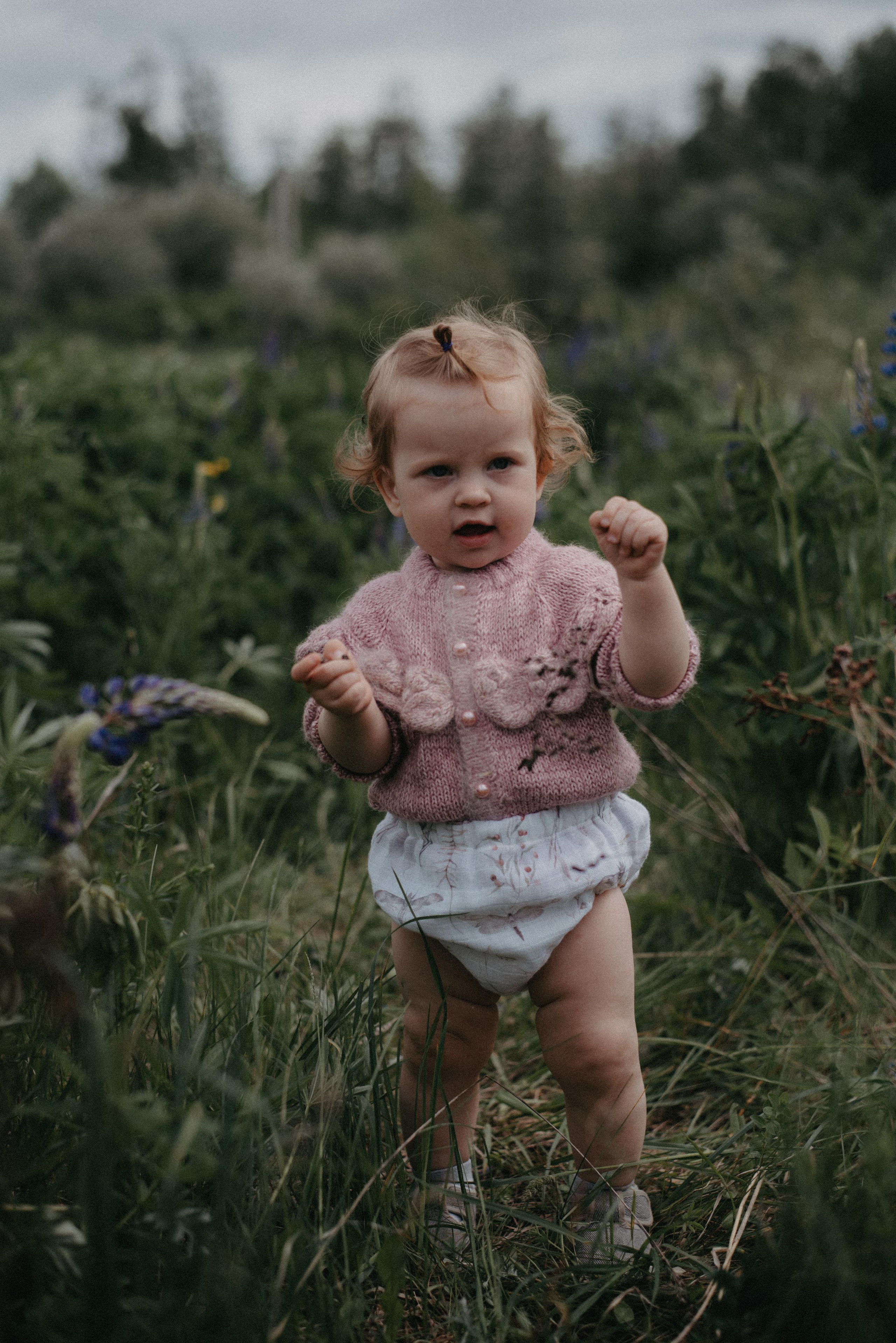 Люпины. Главная