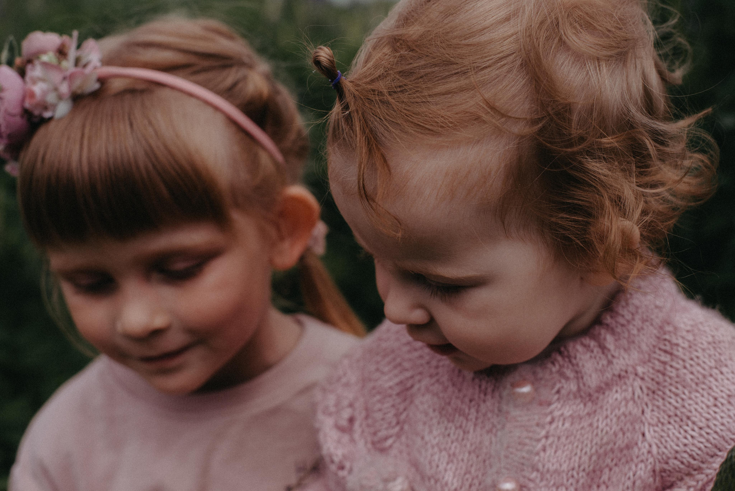 Люпины. Главная