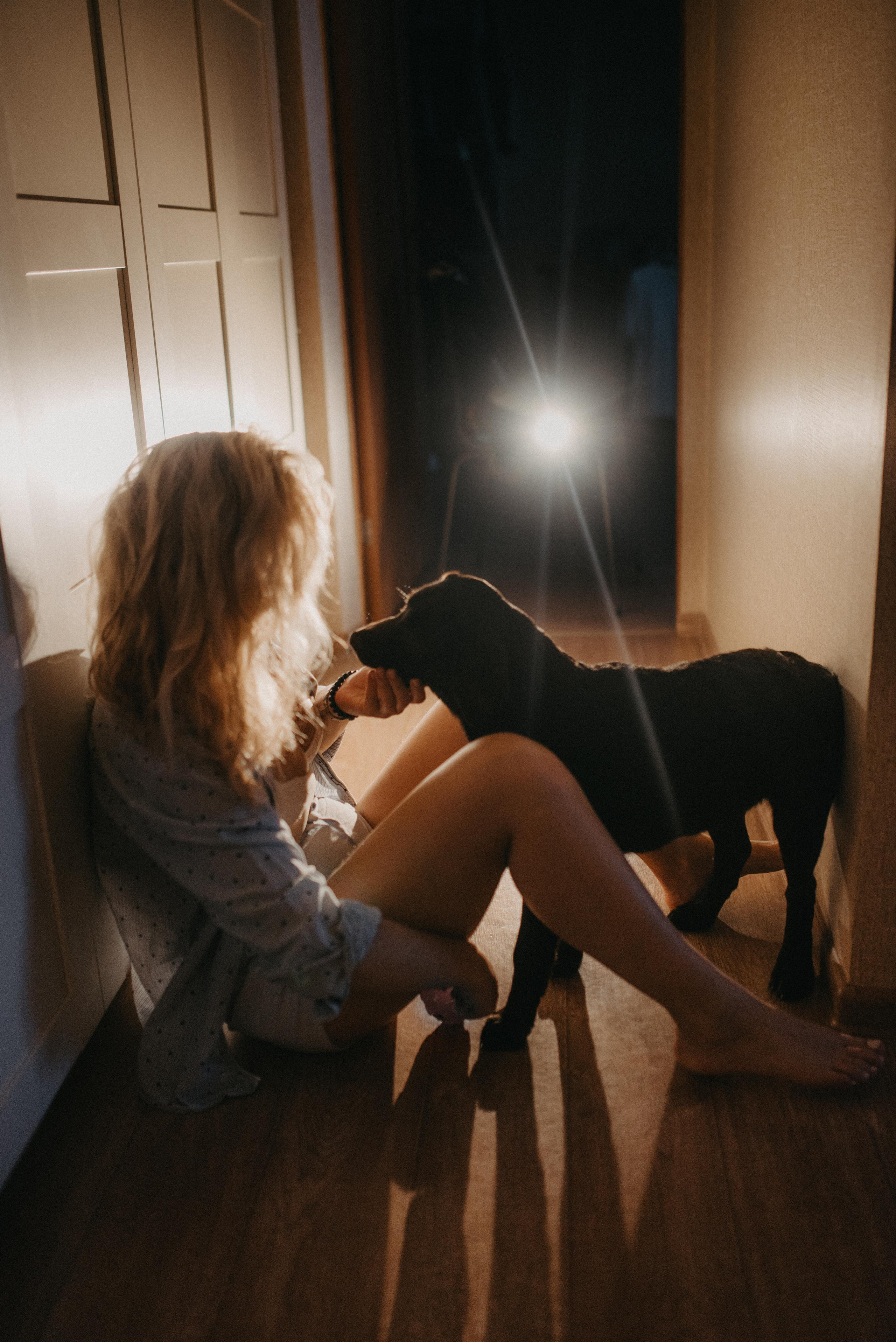 Новый друг. Главная