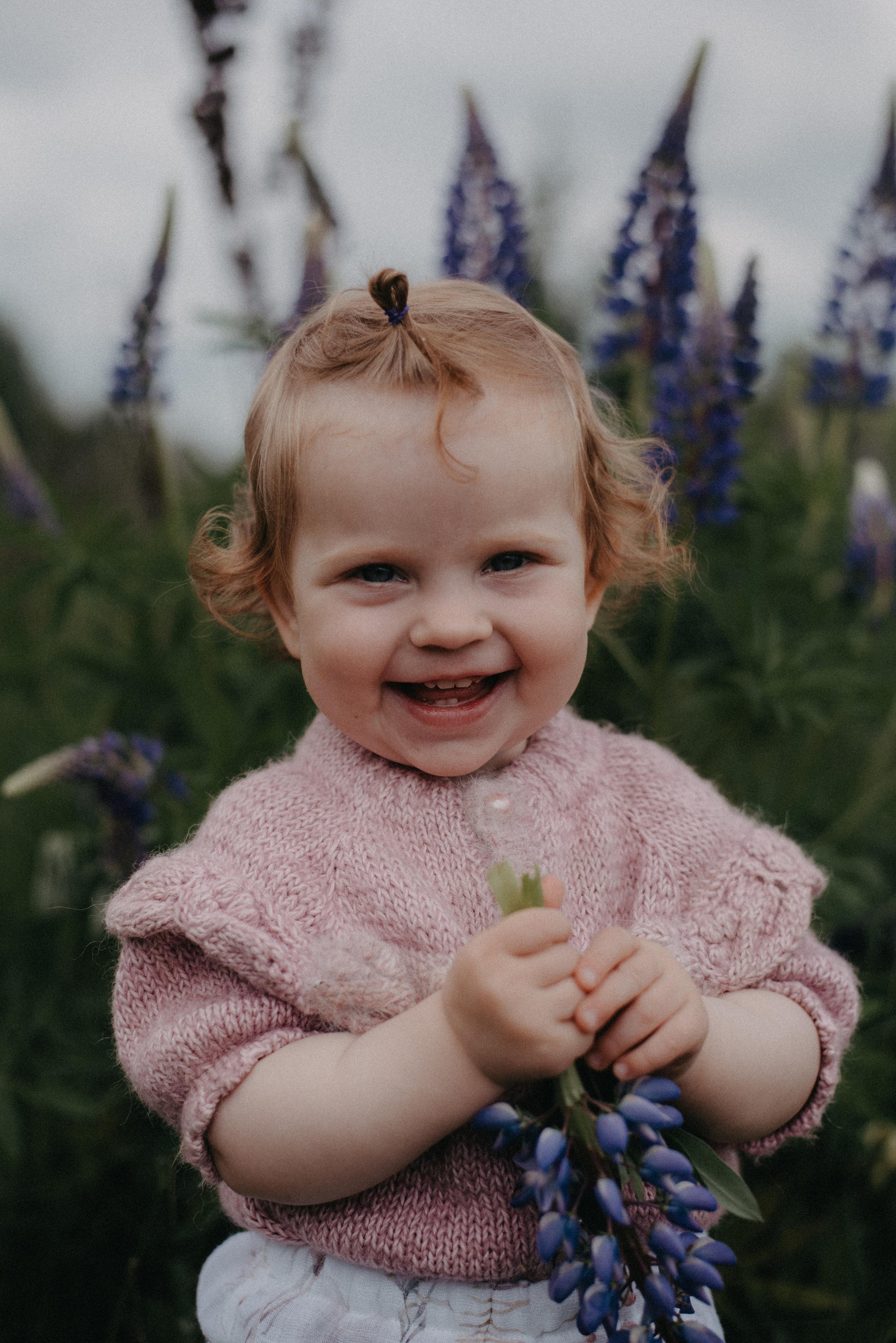 Люпины. Главная