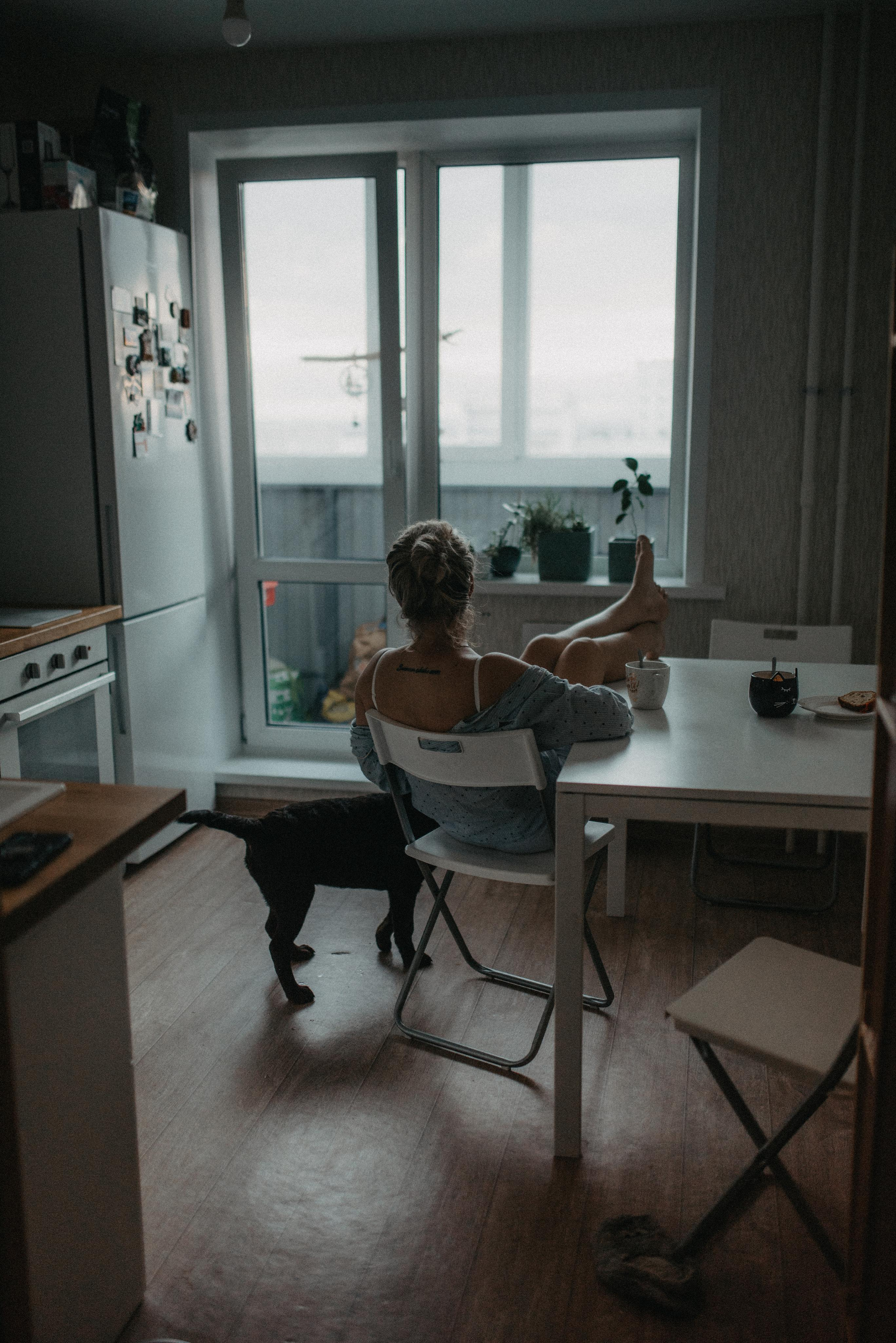 Новый друг. Главная