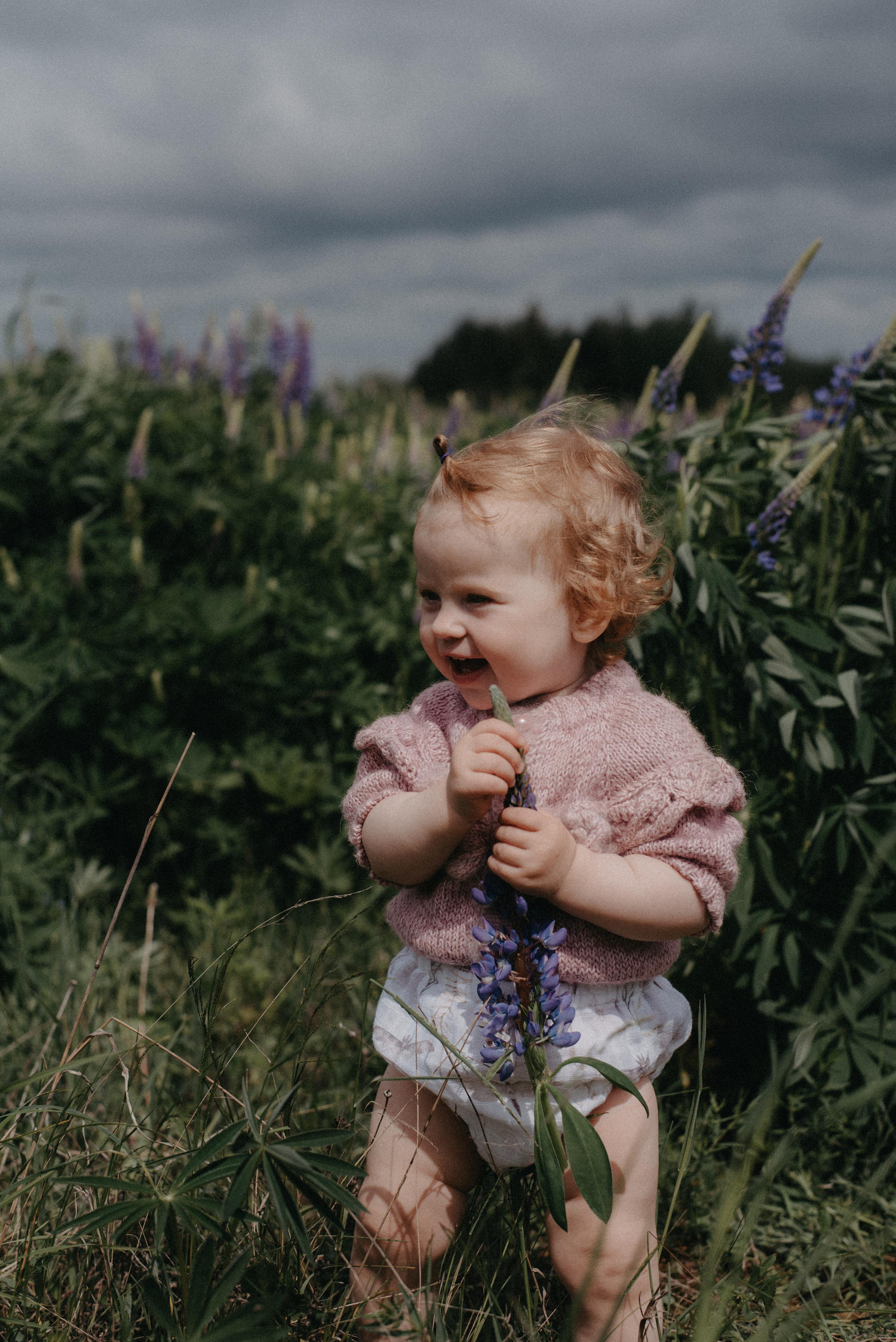 Люпины. Главная