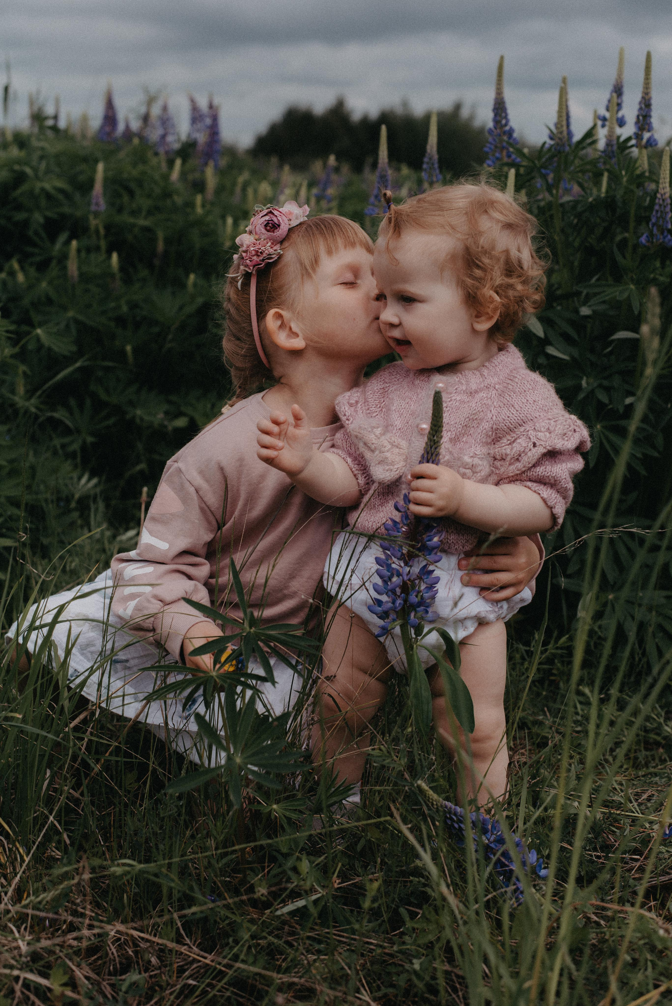 Люпины. Главная