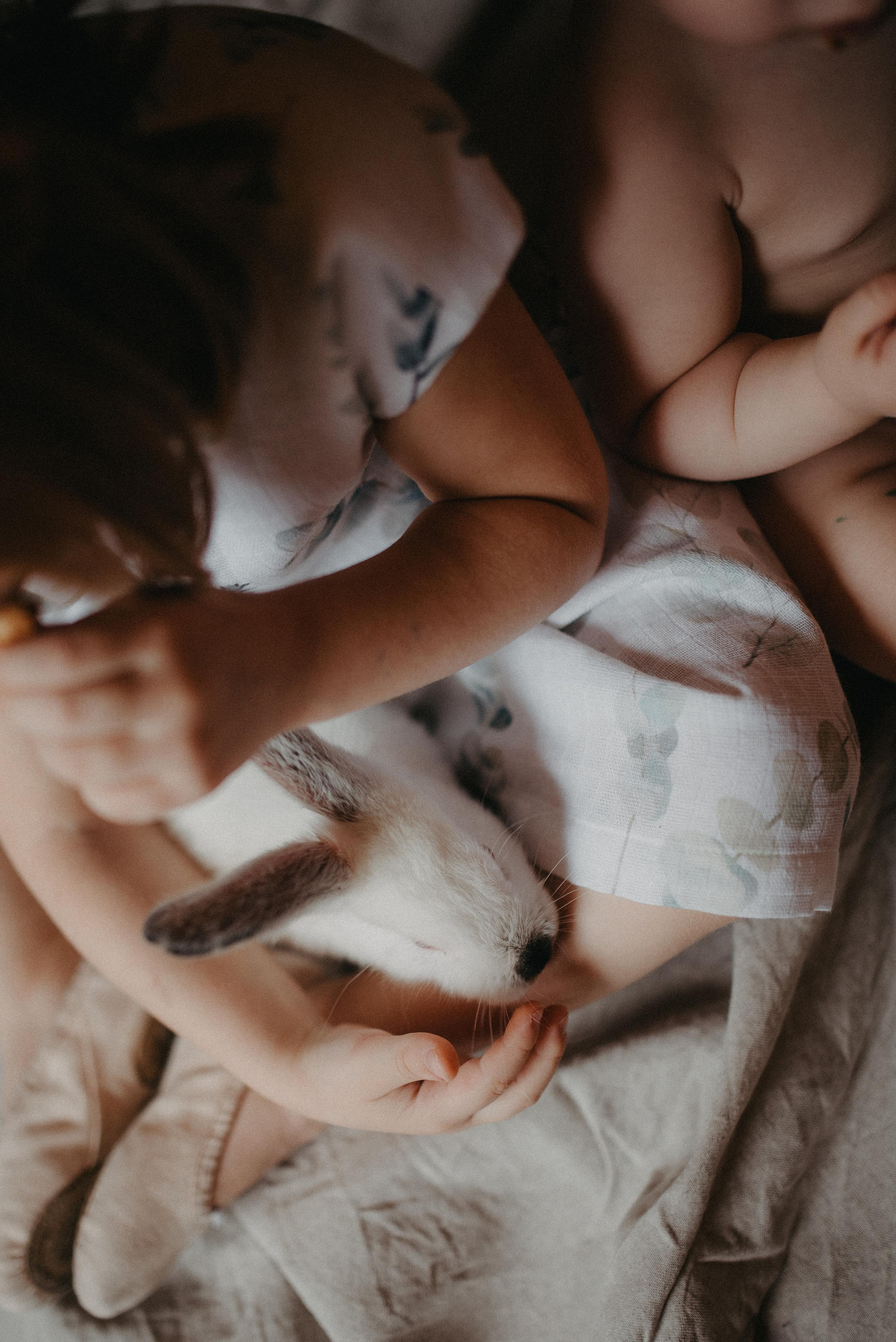 Пасхальный гость. Главная