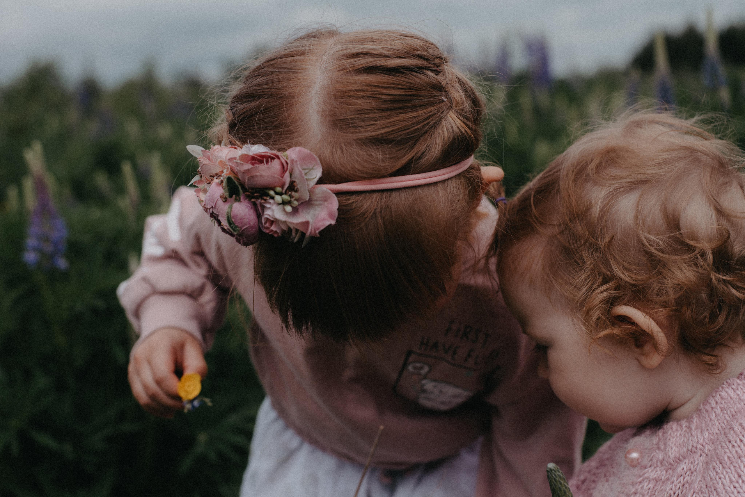 Люпины. Главная