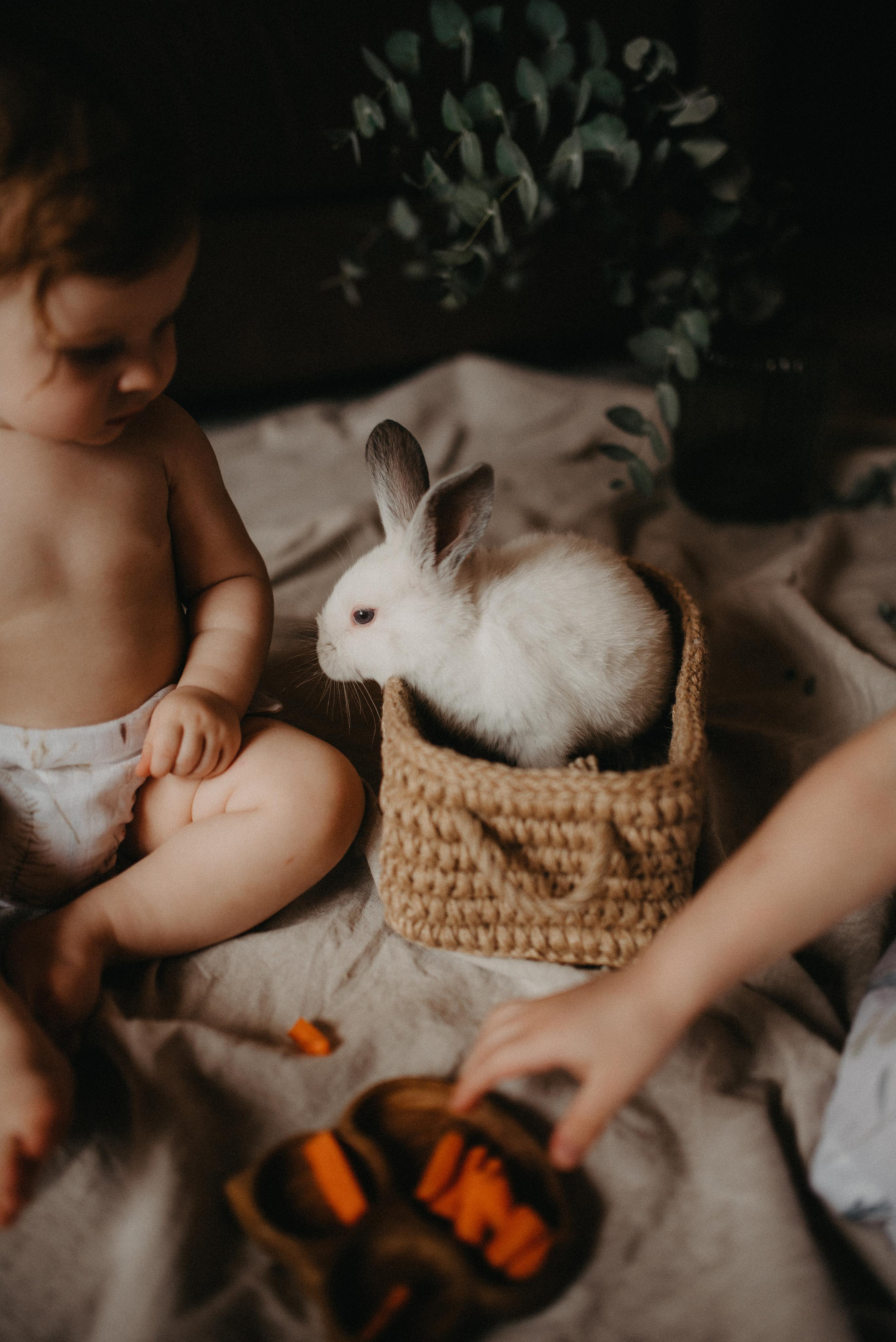 Пасхальный гость. Главная