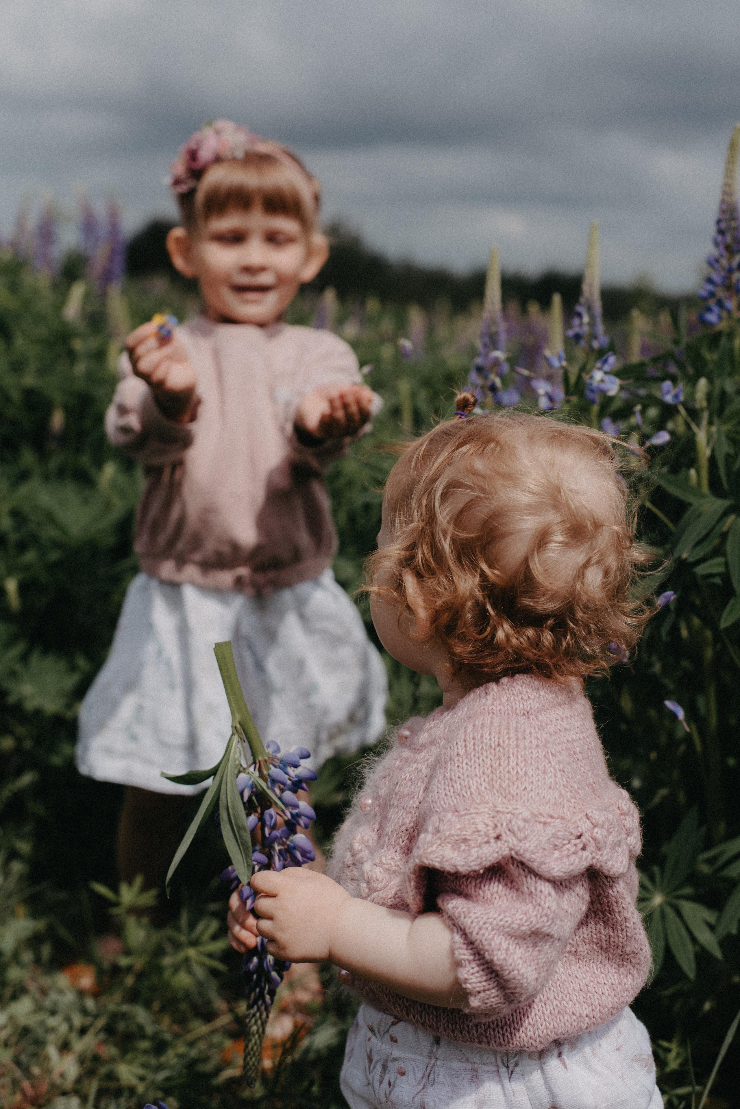 Люпины. Главная