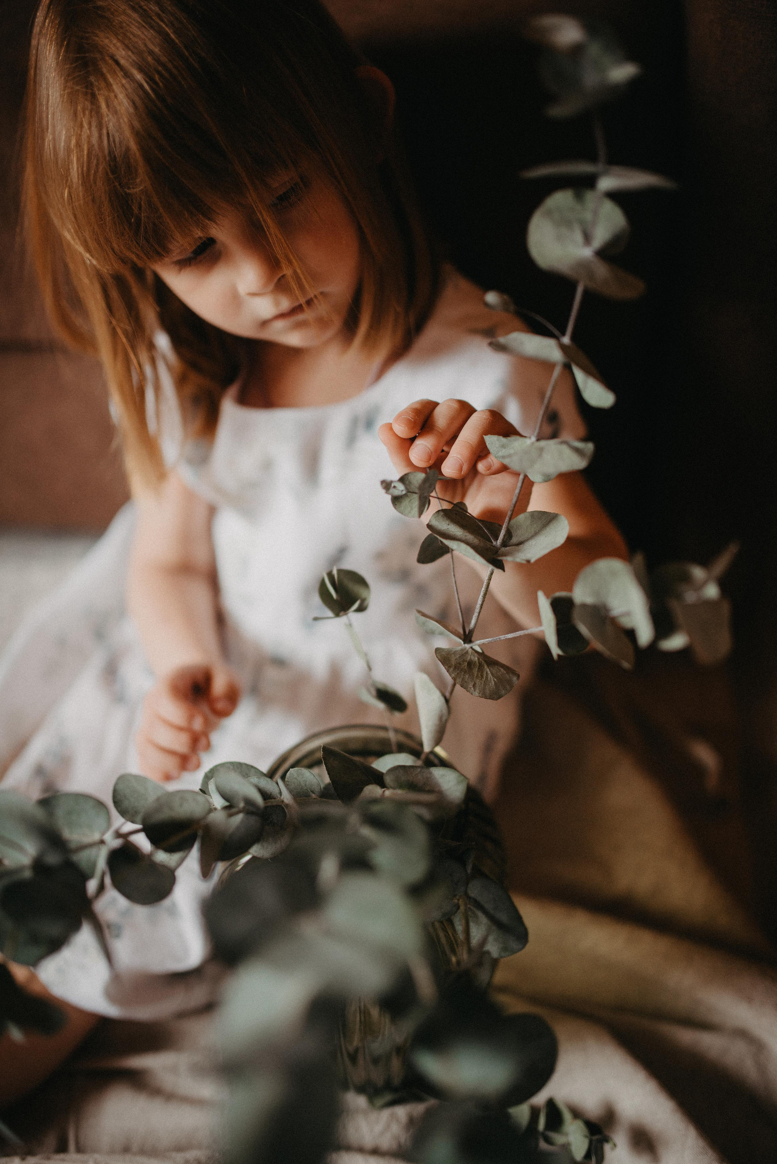 Пасхальный гость. Главная