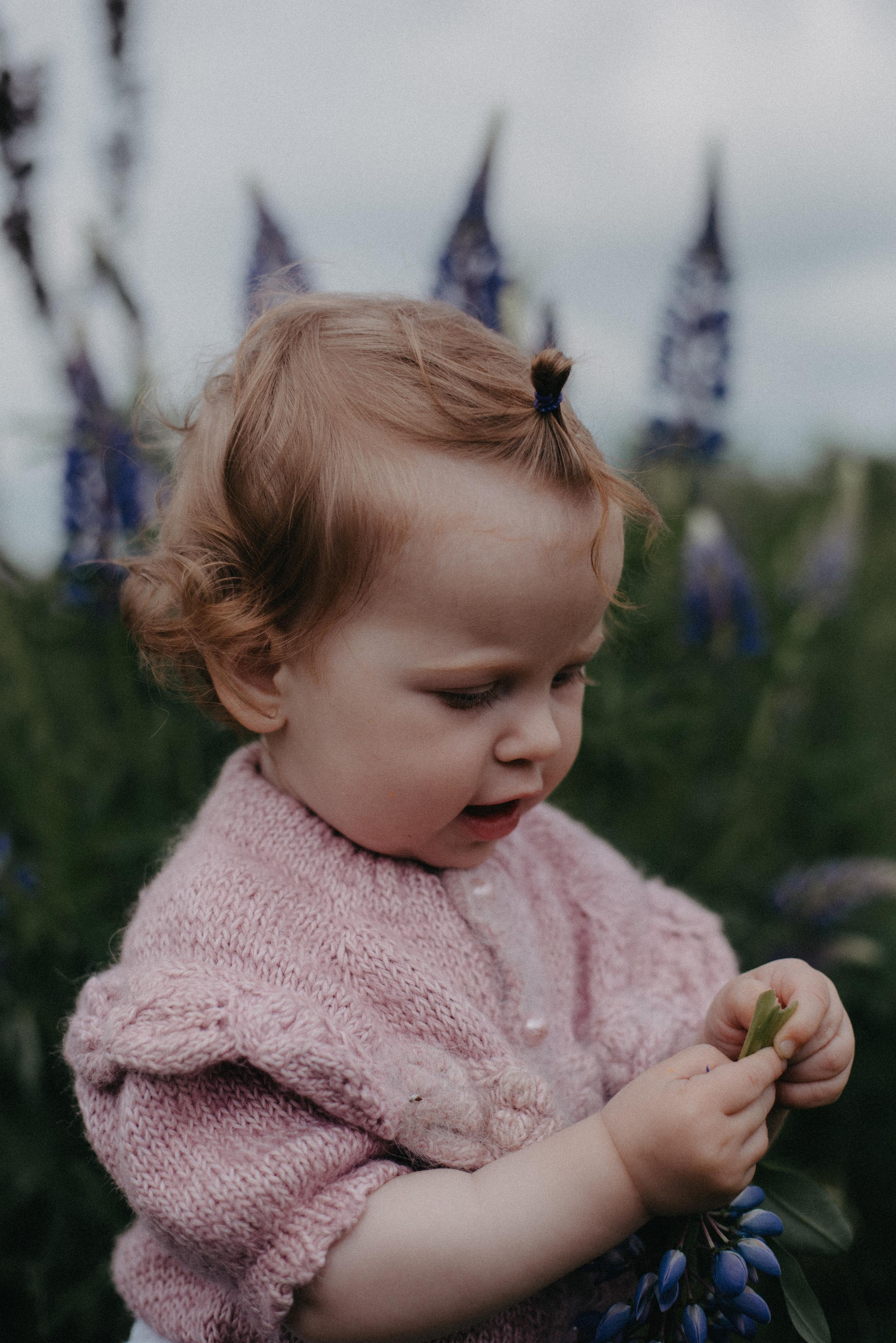 Люпины. Главная