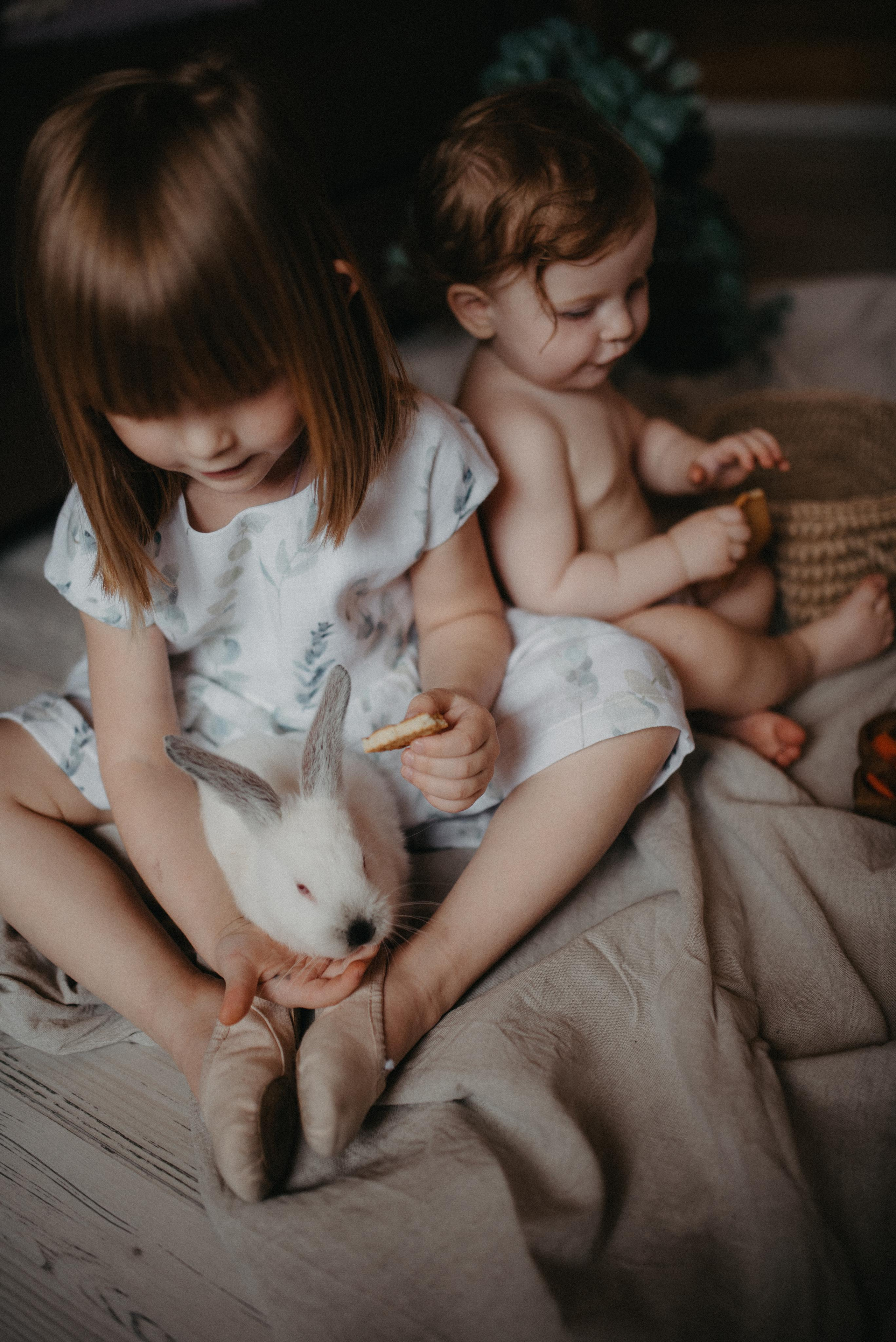 Пасхальный гость. Главная