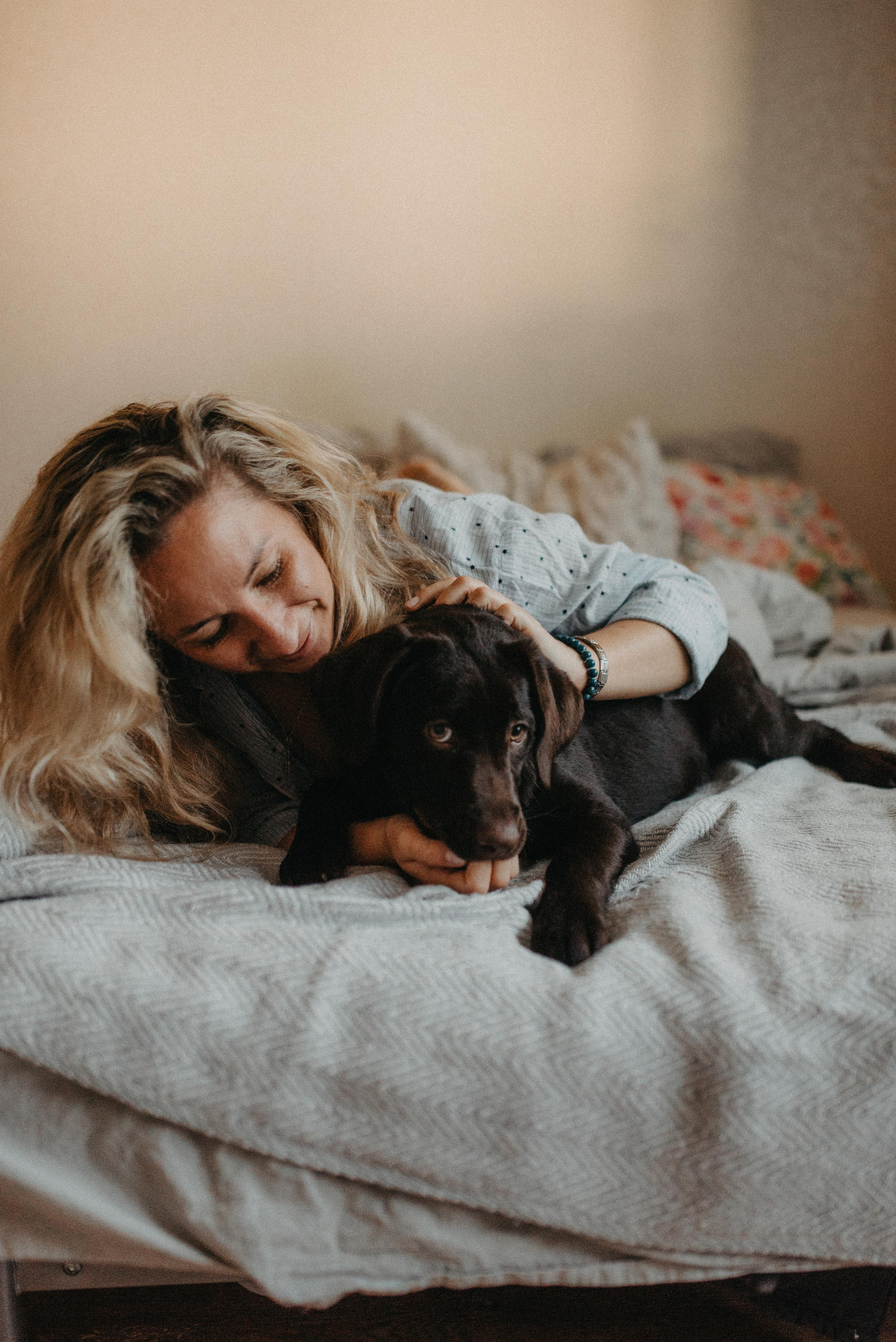 Новый друг. Главная