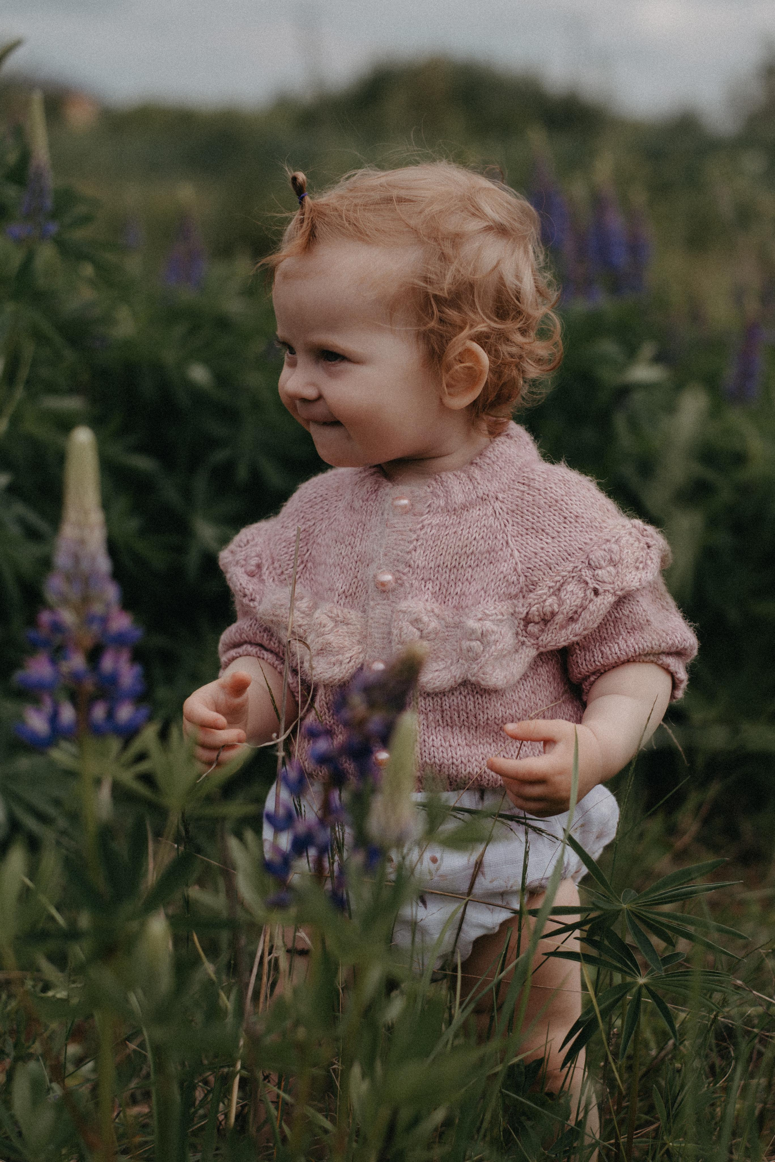 Люпины. Главная