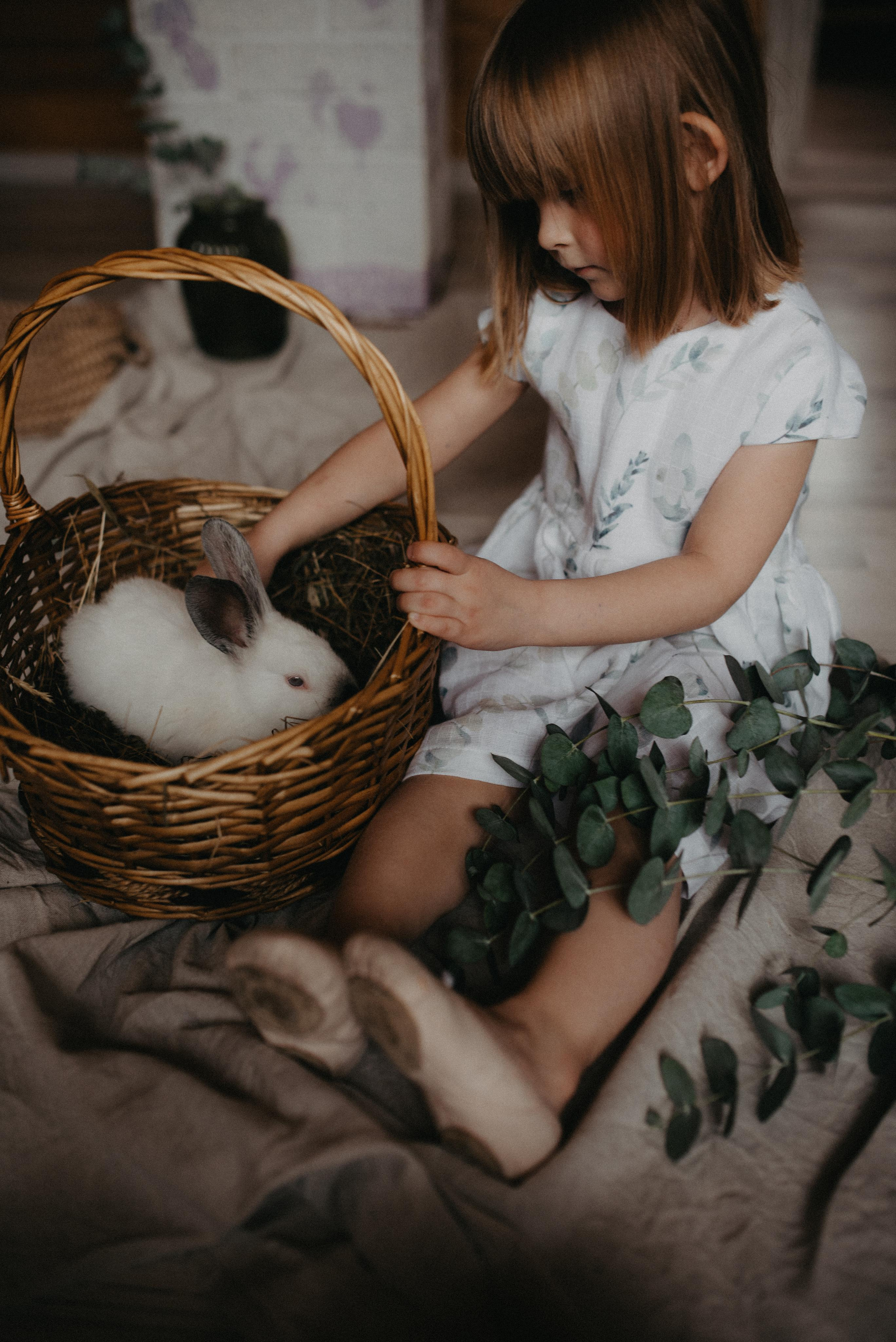 Пасхальный гость. Главная