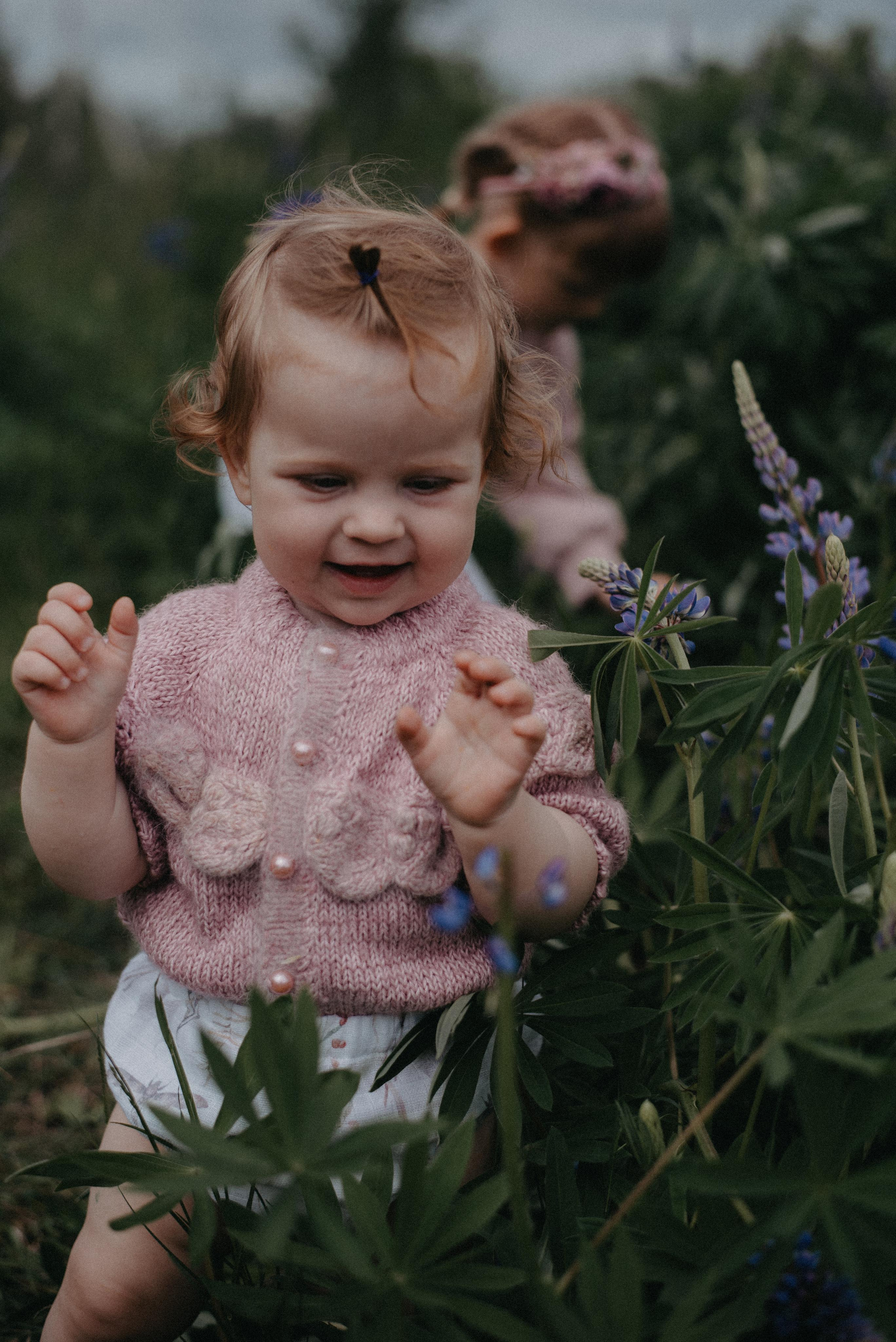 Люпины. Главная