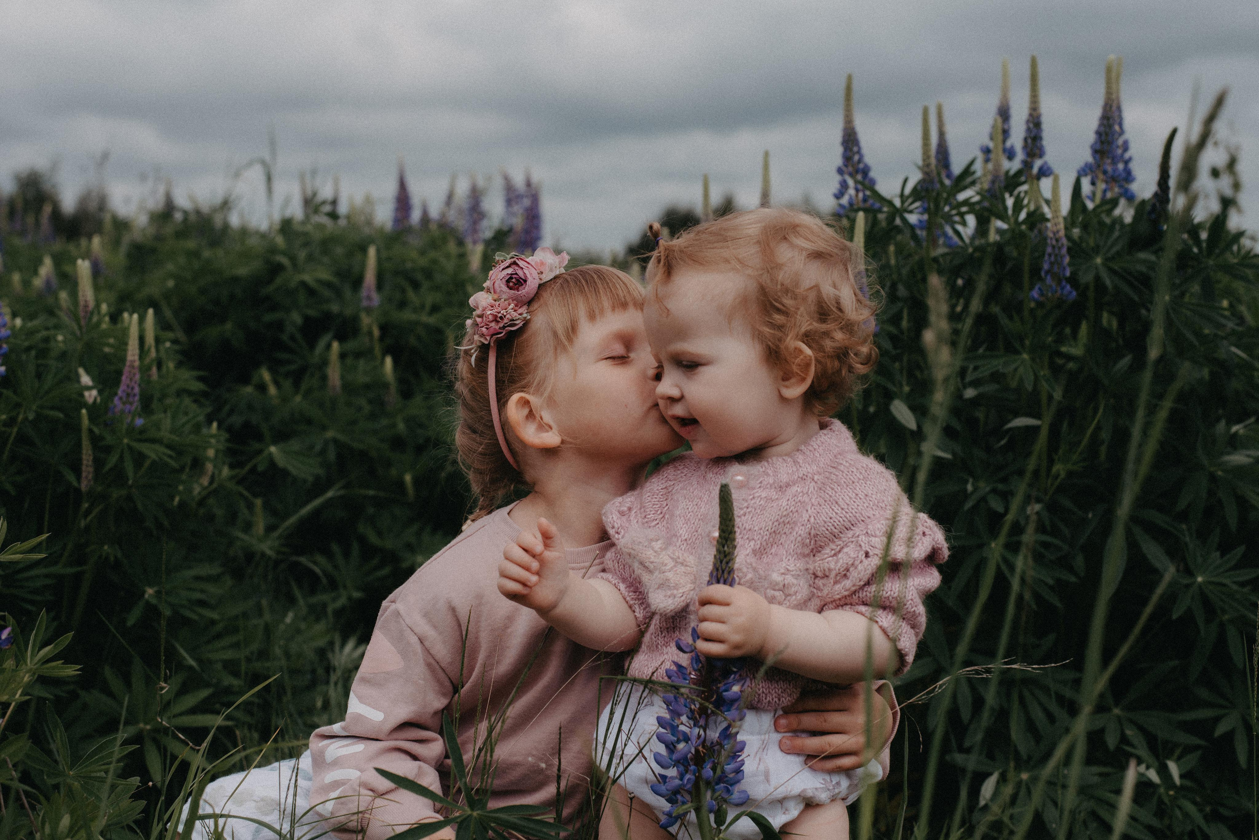 Люпины. Главная