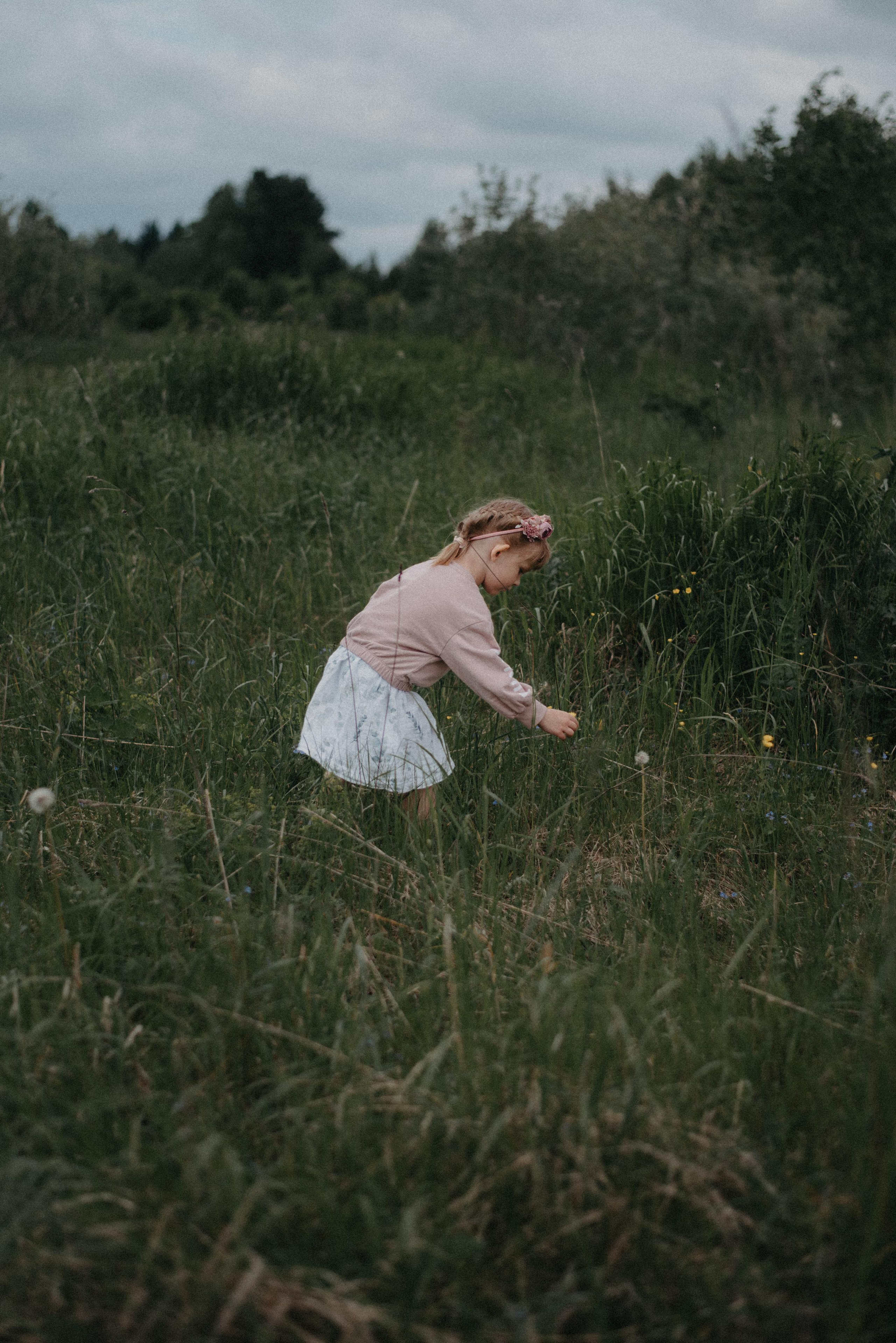 Люпины. Главная