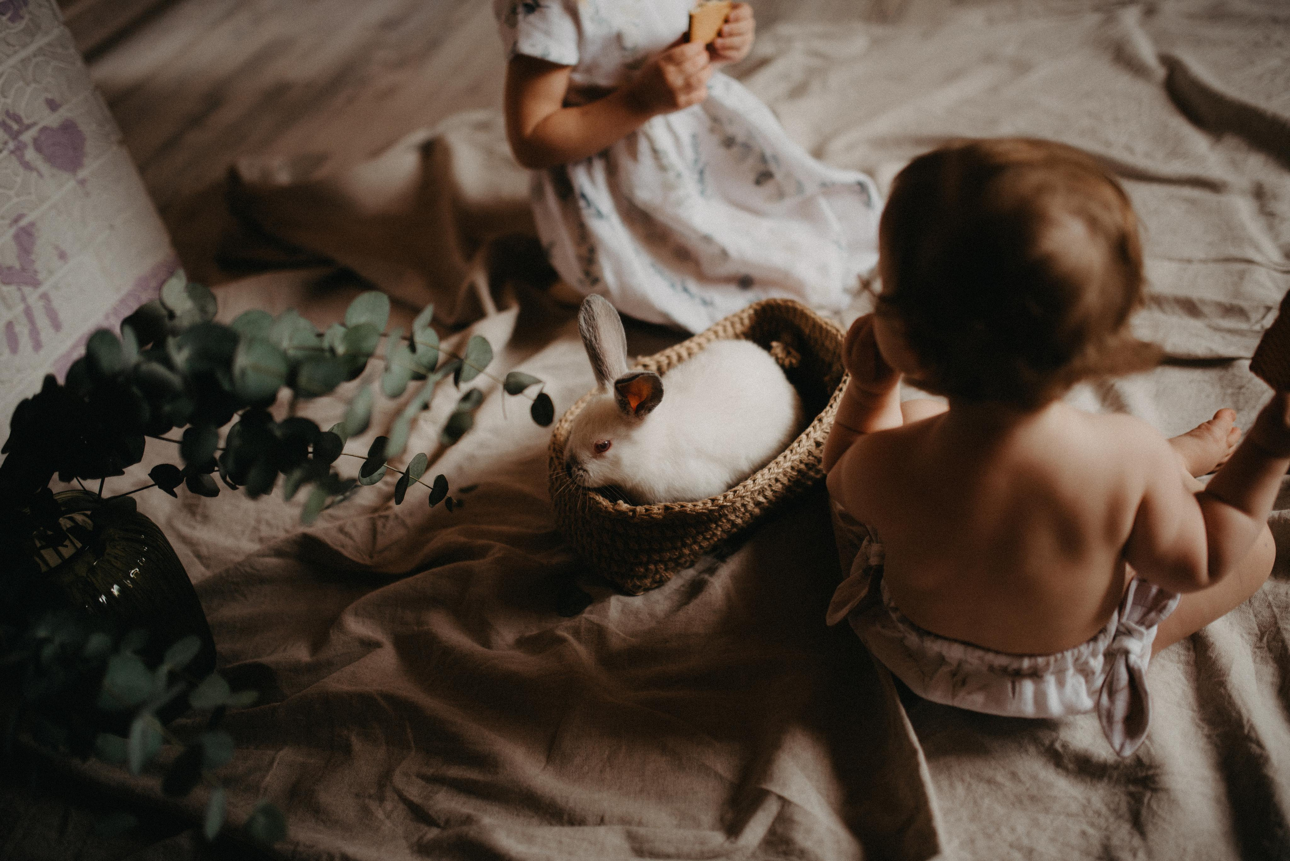 Пасхальный гость. Главная