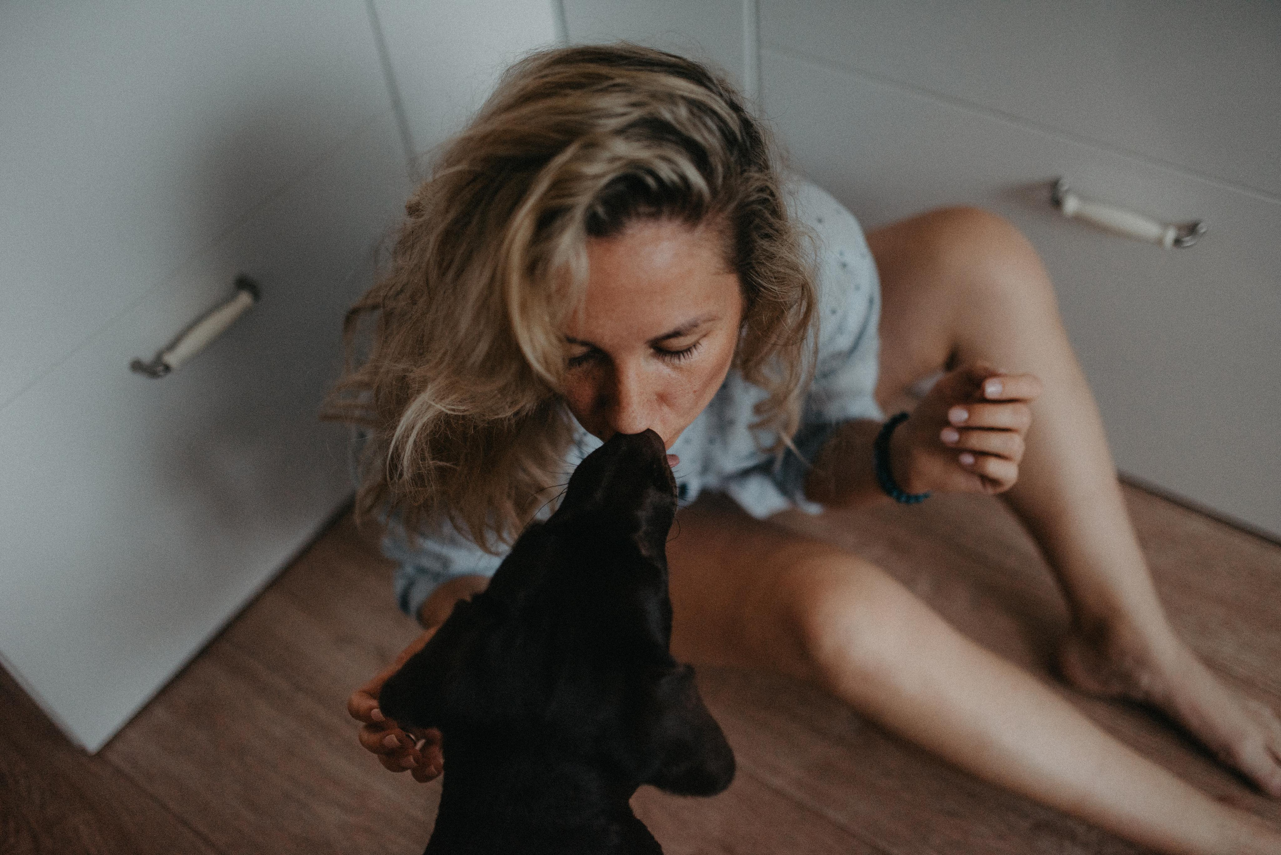 Новый друг. Главная