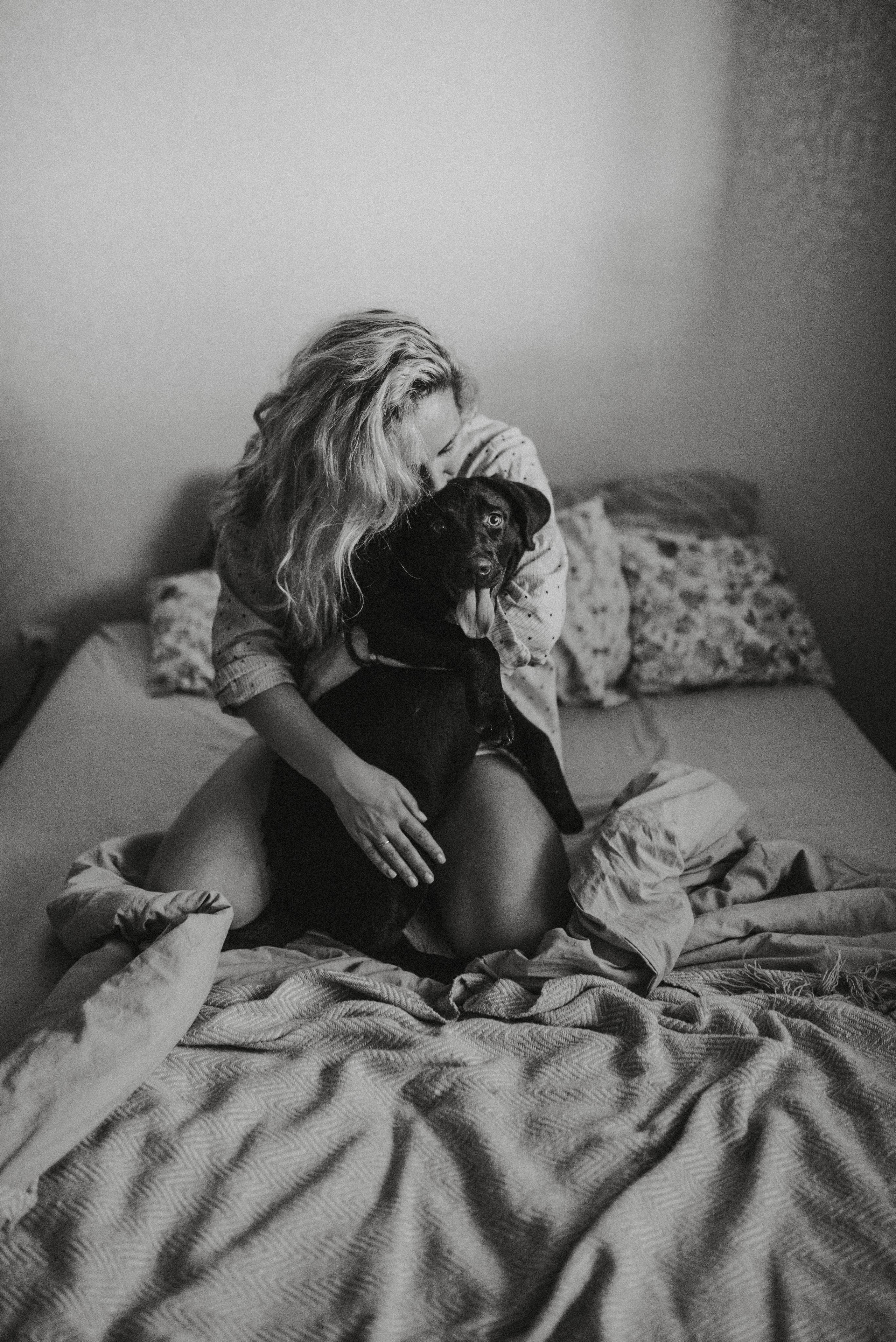 Новый друг. Главная