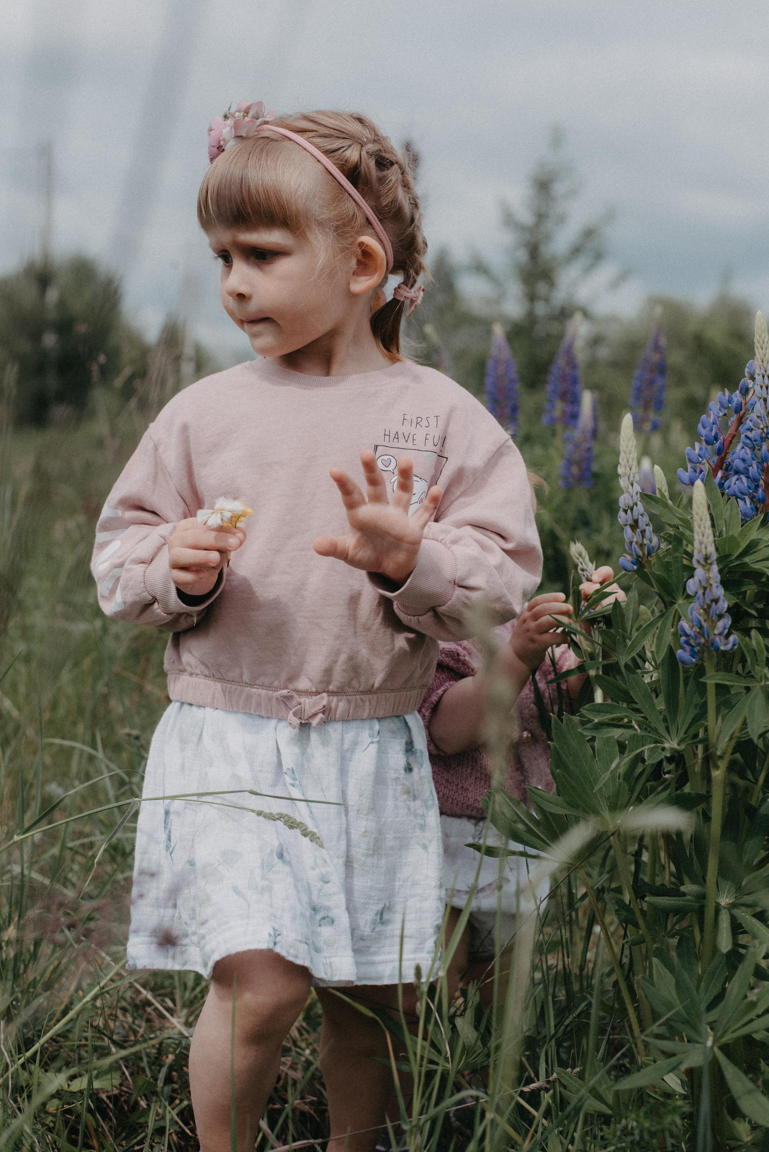 Люпины. Главная