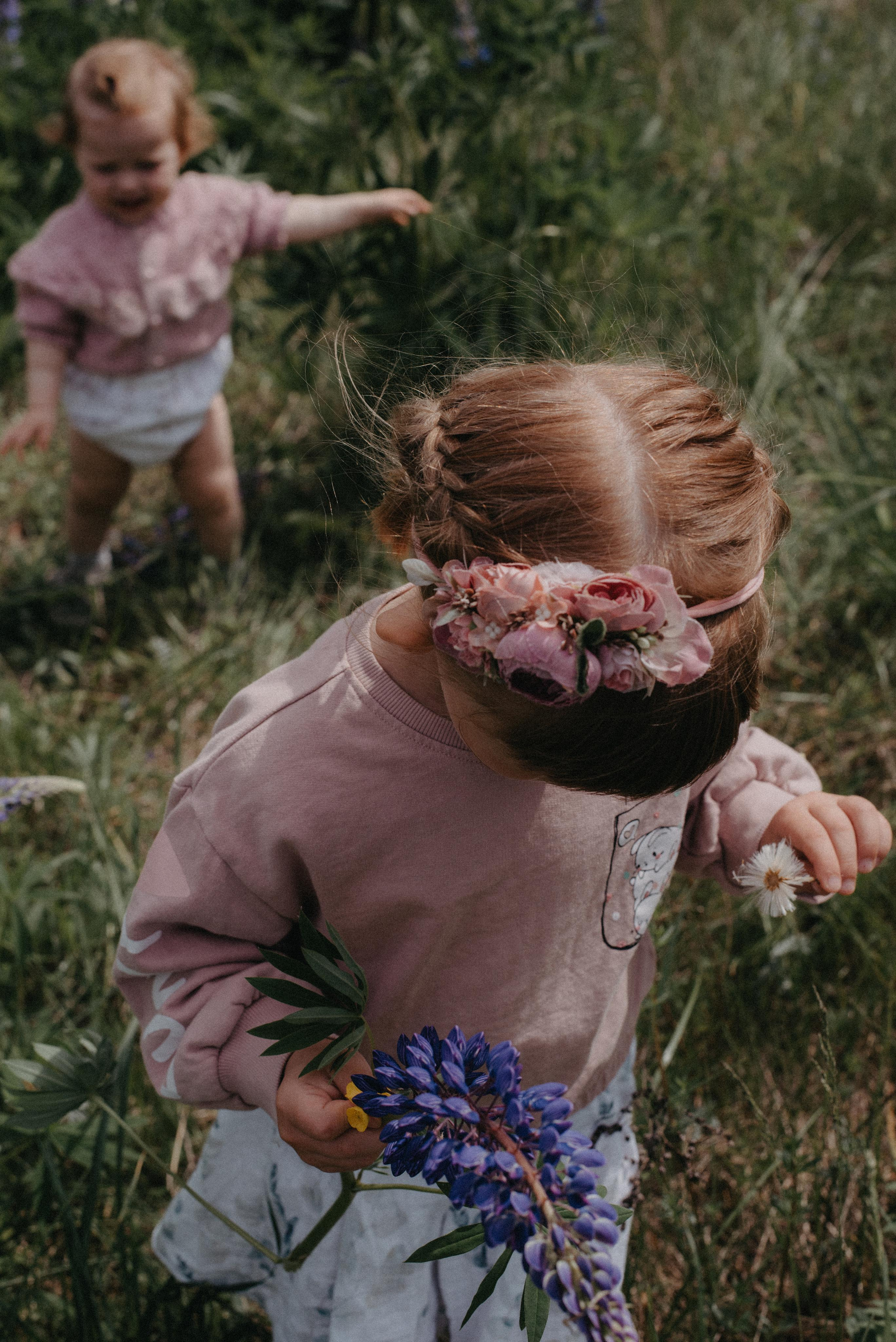 Люпины. Главная