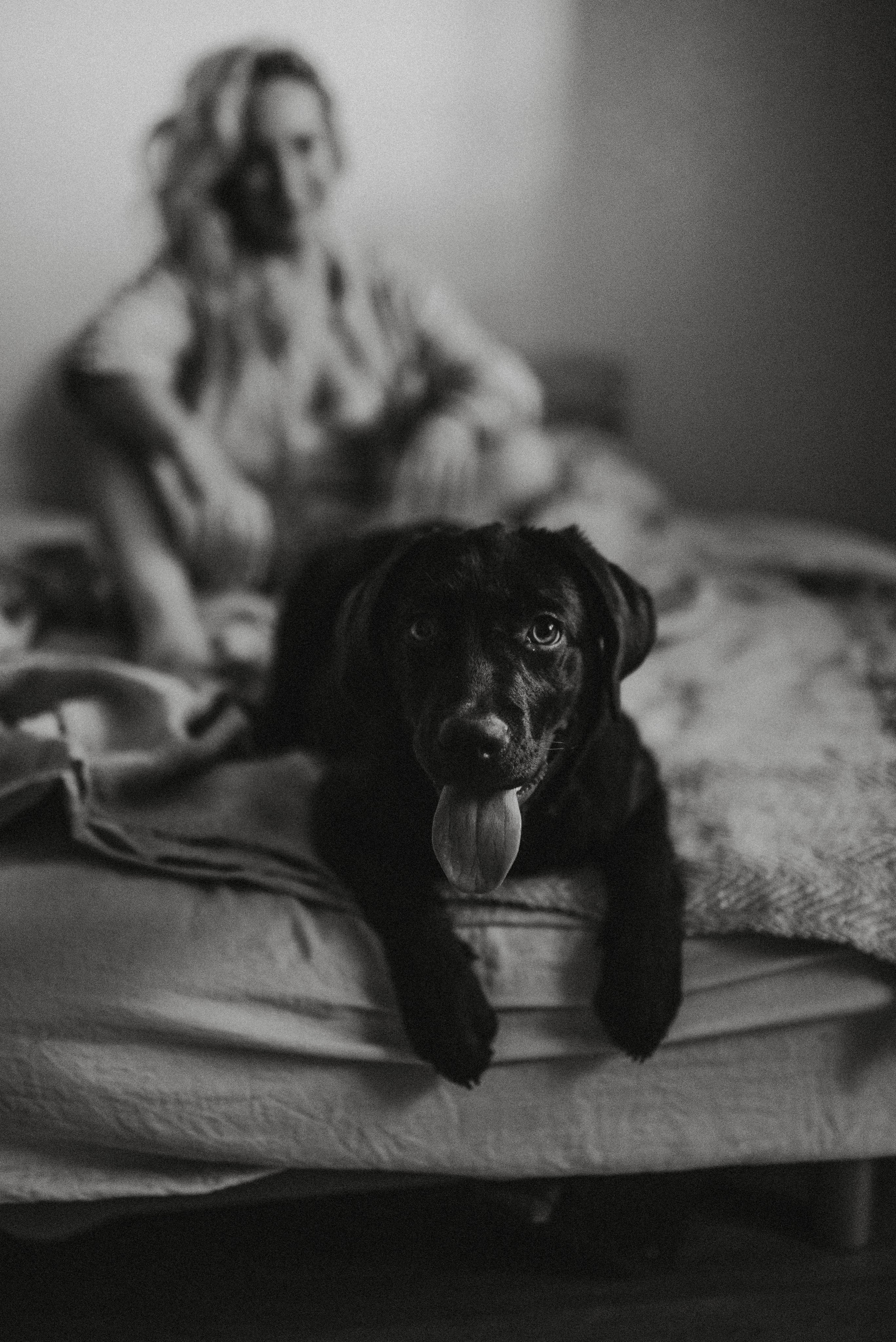 Новый друг. Главная