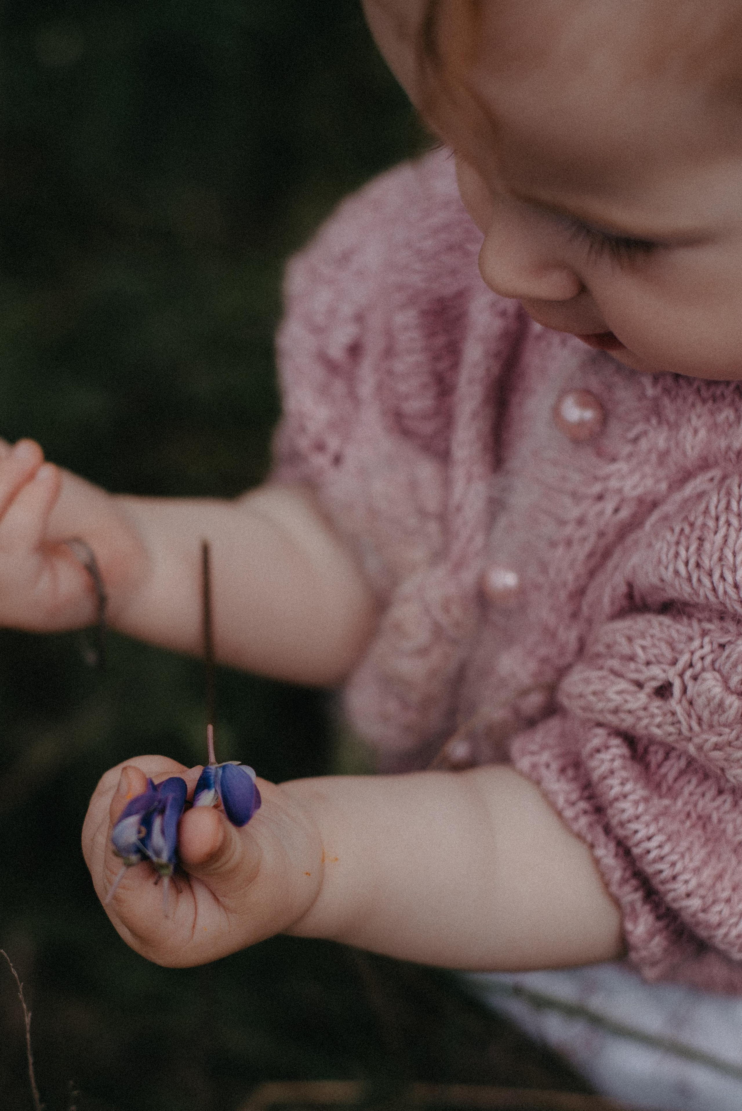 Люпины. Главная