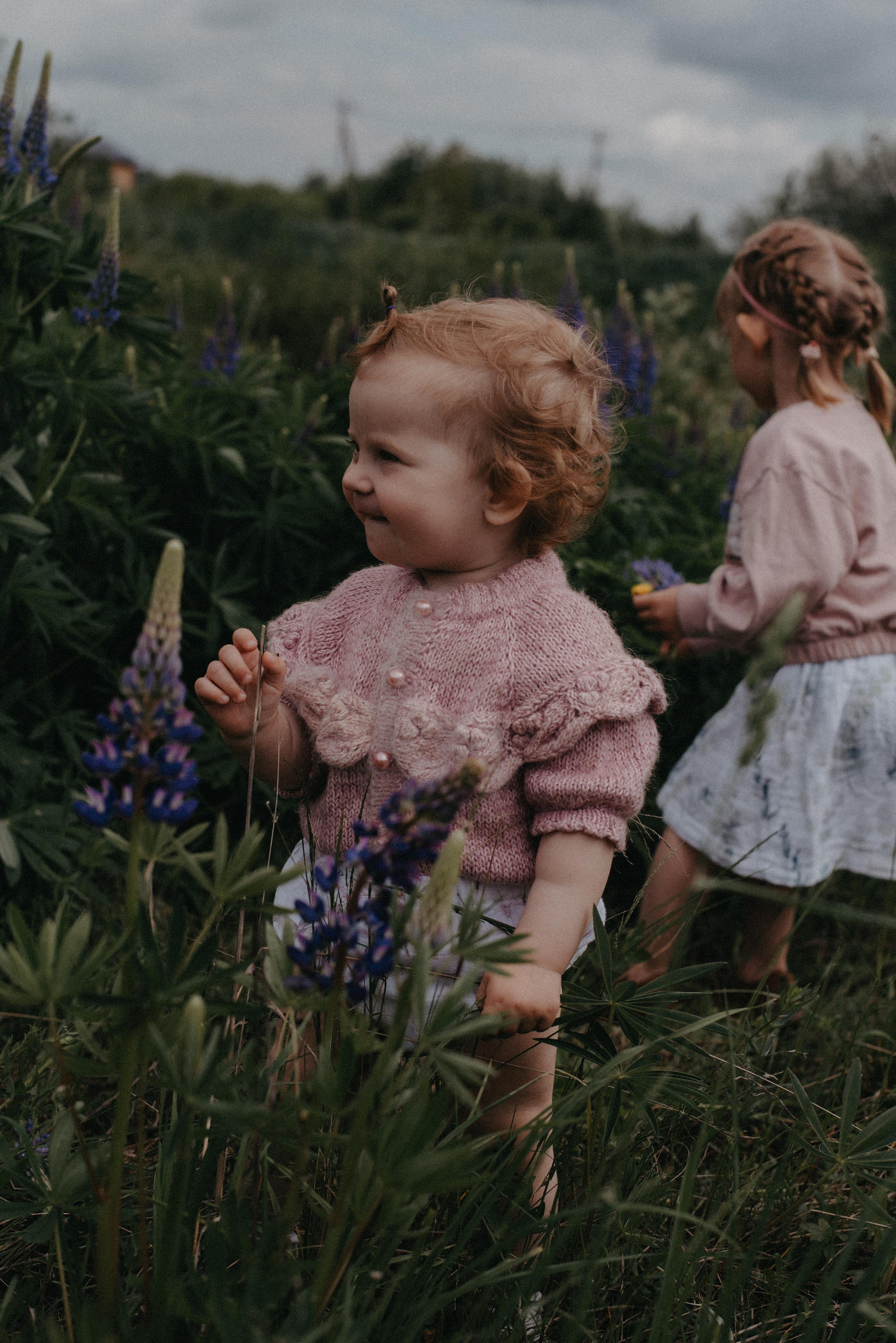 Люпины. Главная