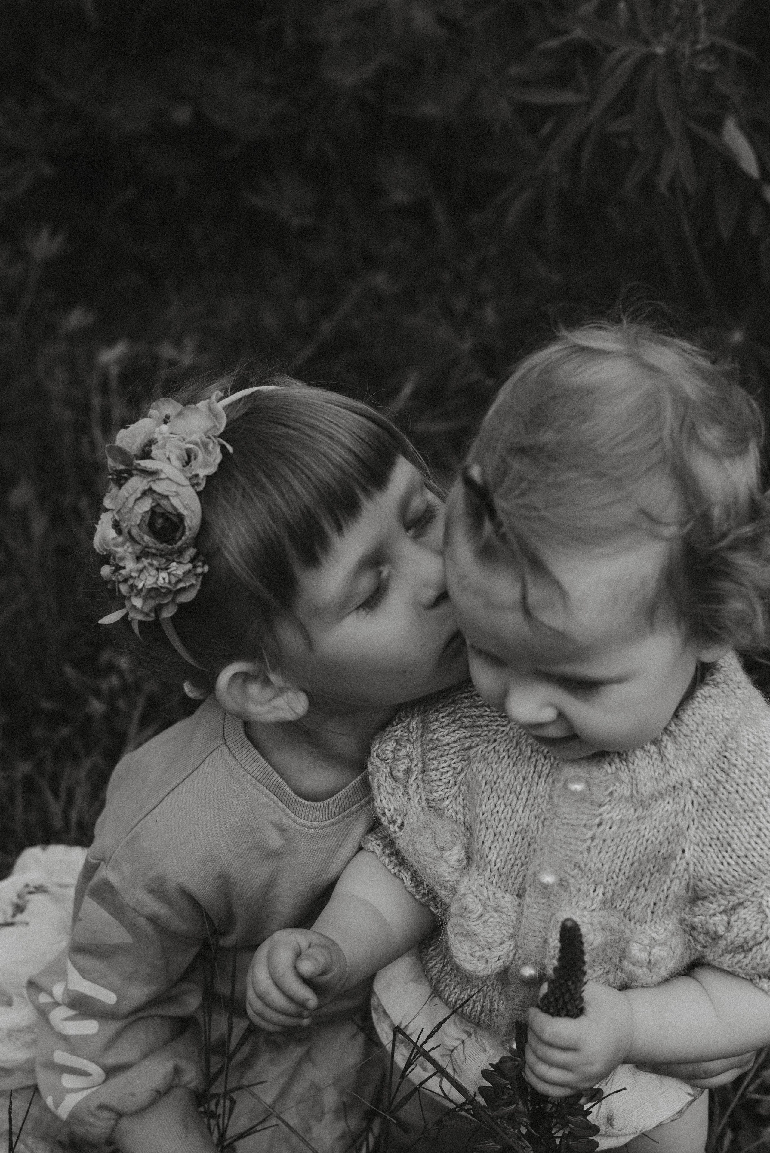 Люпины. Главная