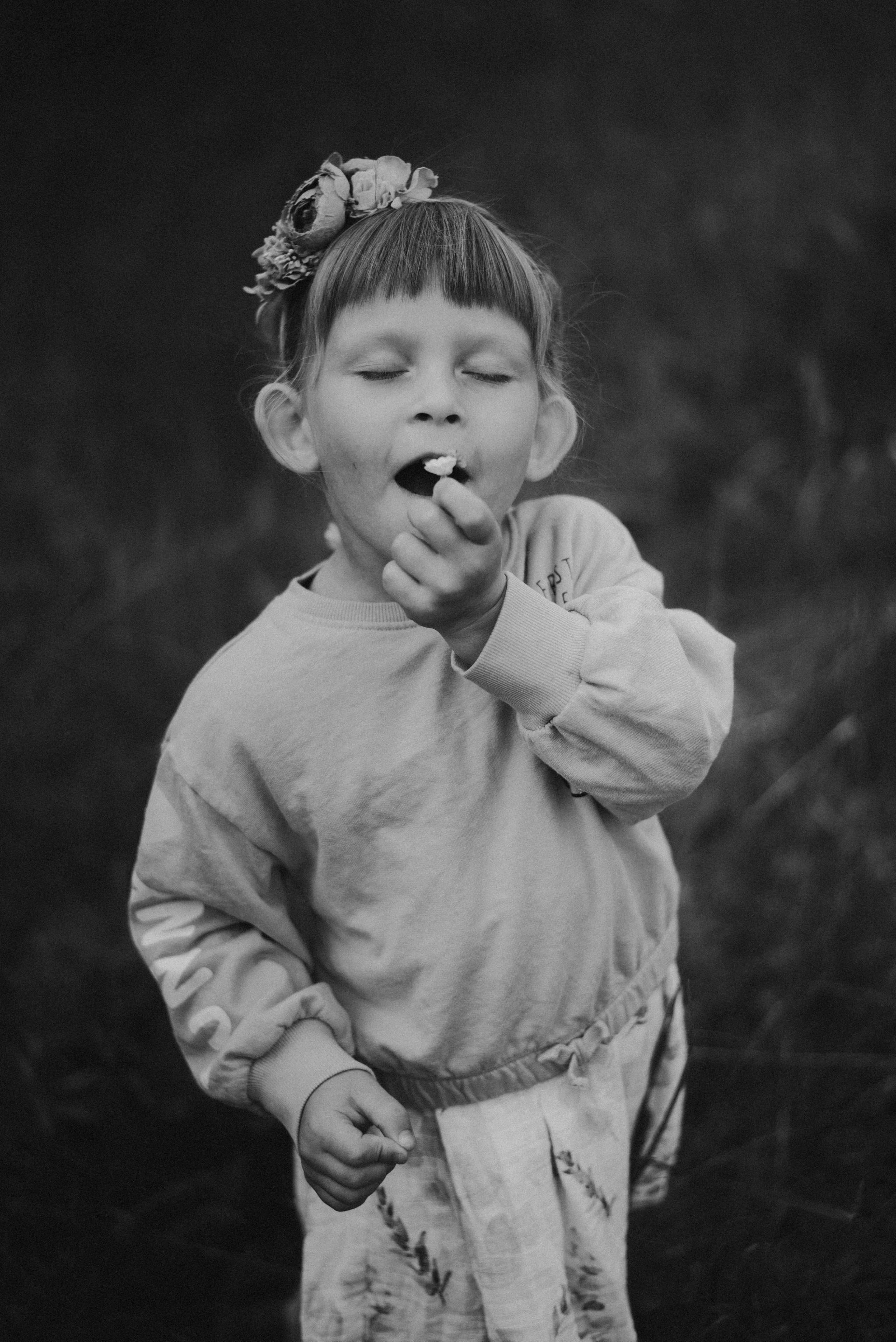 Люпины. Главная