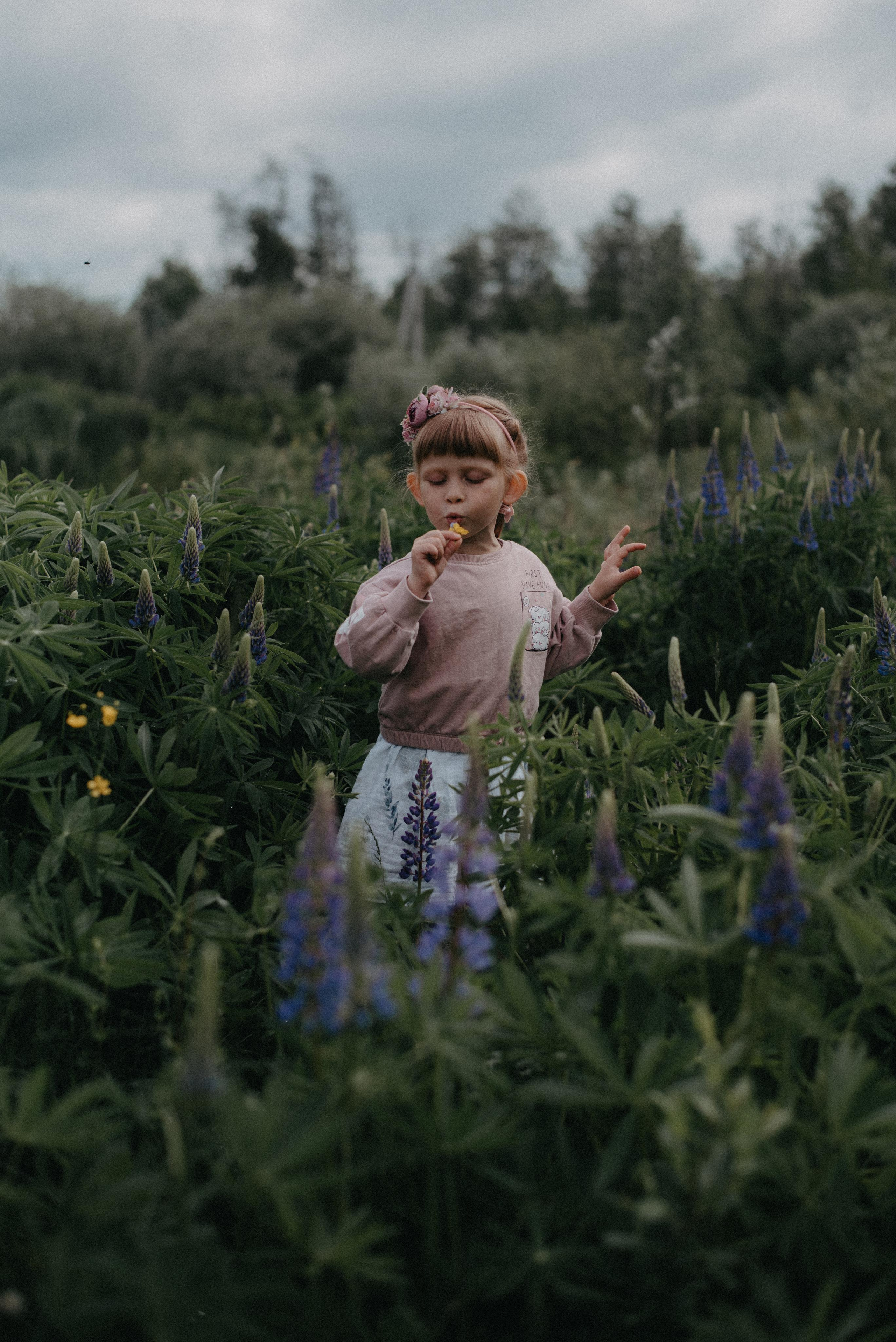 Люпины. Главная