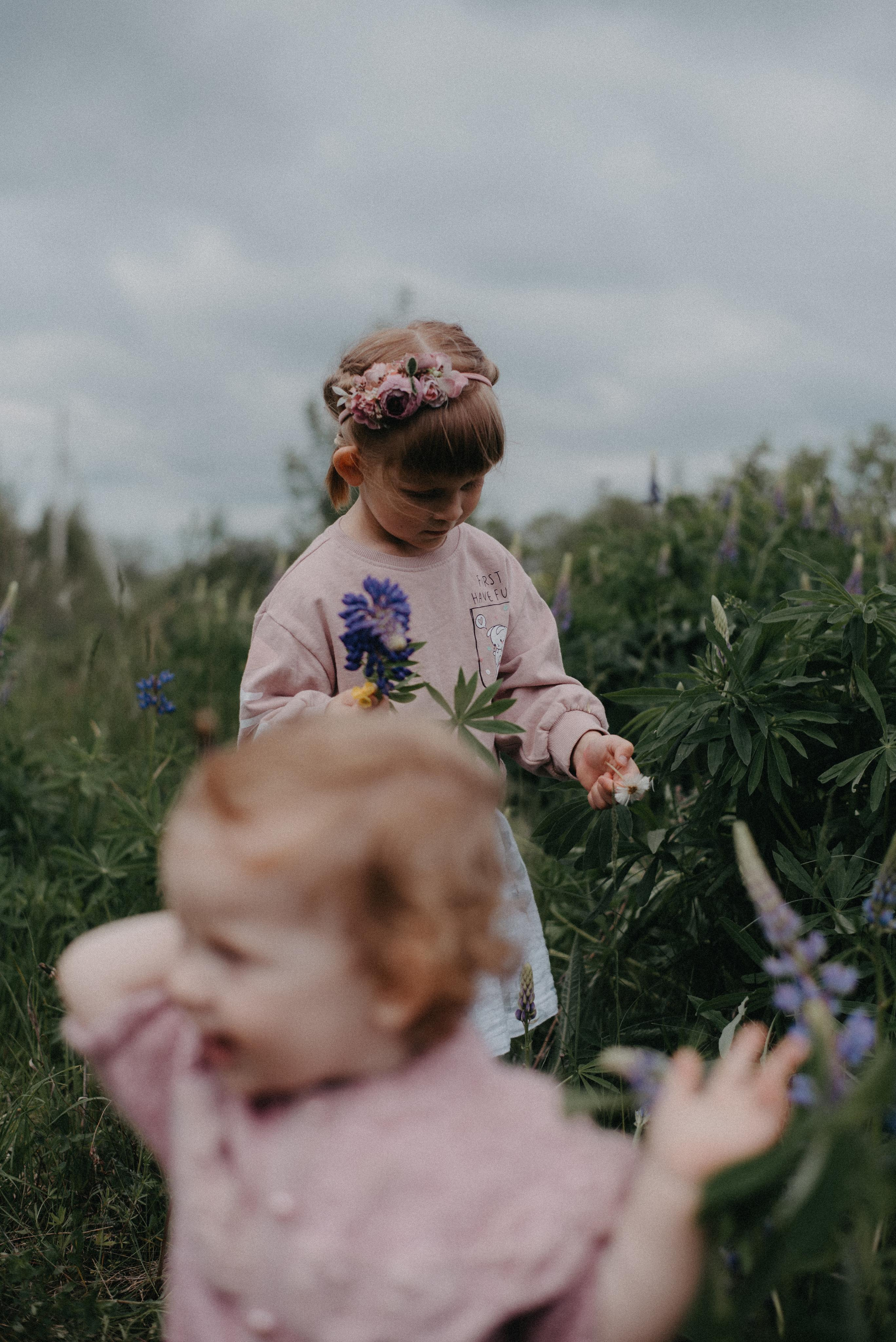 Люпины. Главная